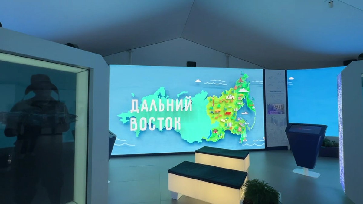 THE FAR EAST | WEF-2024 — Изображение №4 — Иллюстрация, Анимация на Dprofile