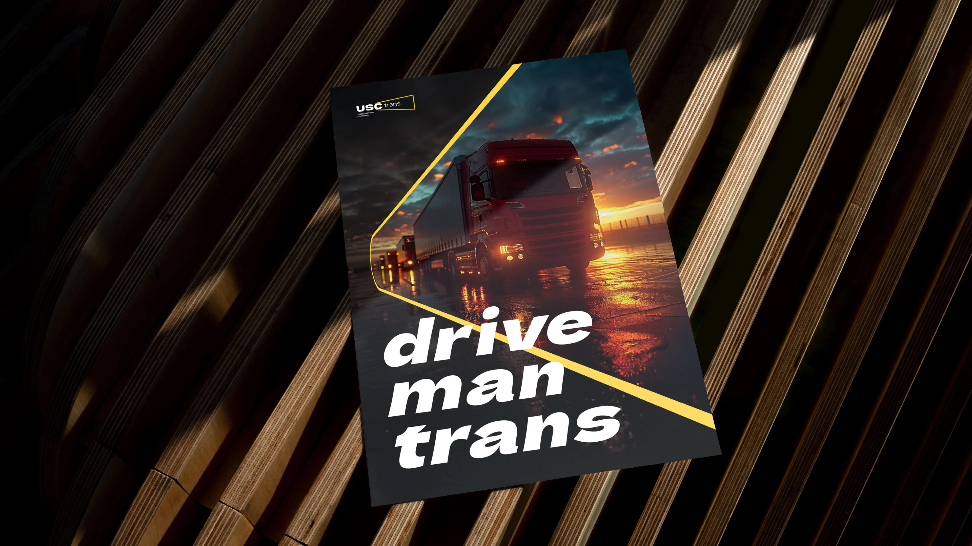 USC trans — Изображение №9 — Брендинг на Dprofile