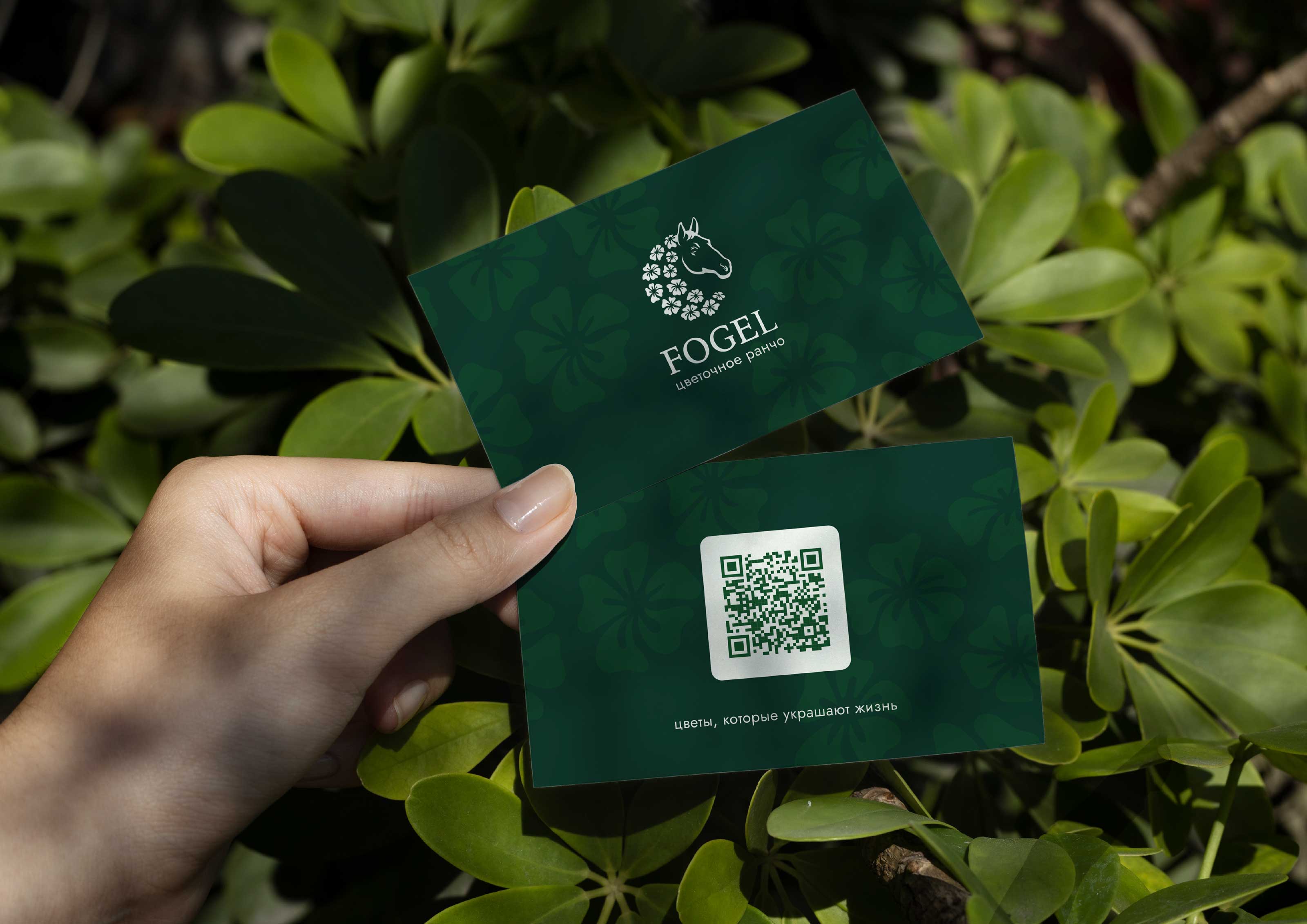 Цветочное ранчо Fogel — Изображение №3 — Брендинг, Графика на Dprofile