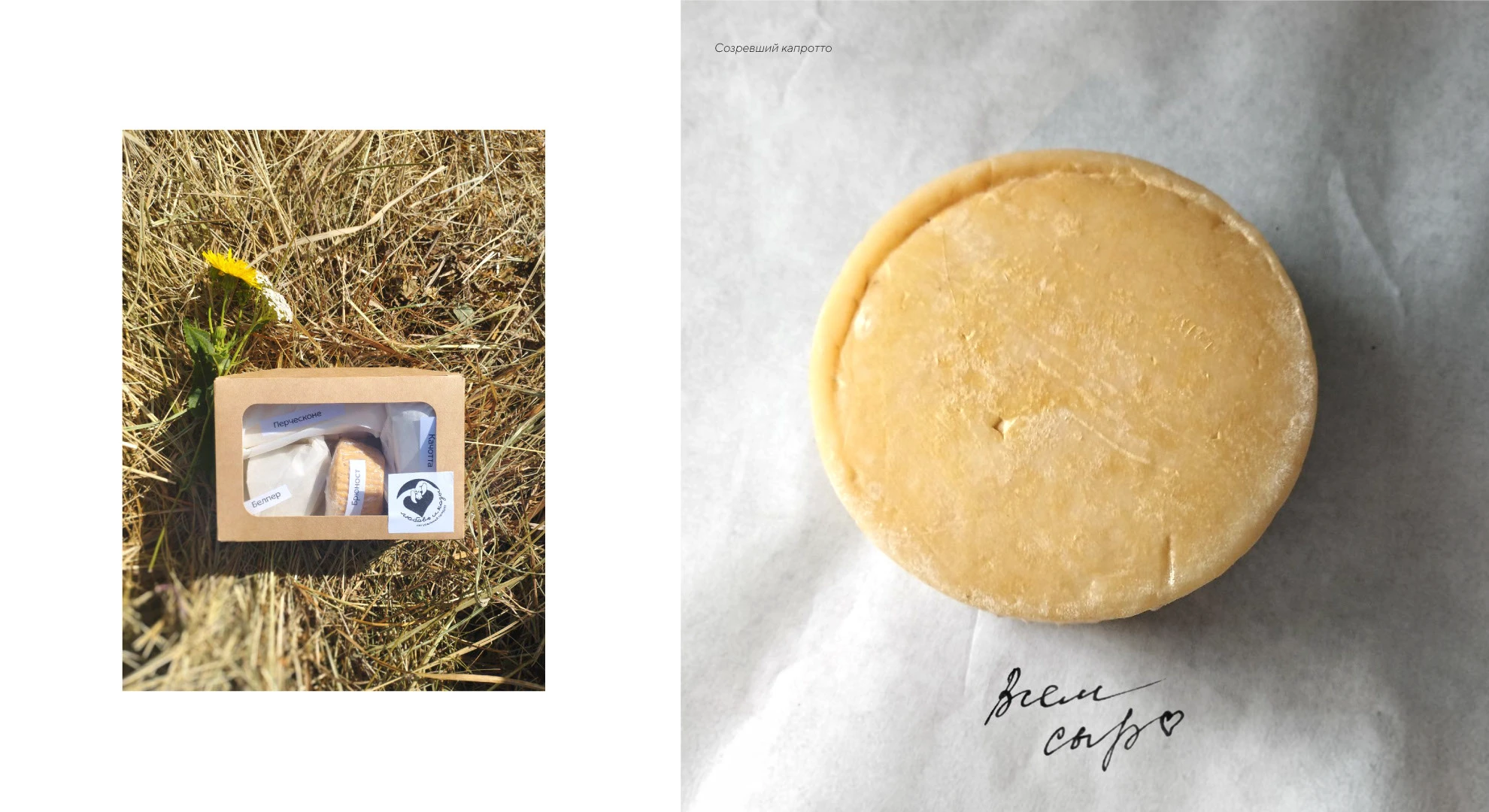 сыроварня "Любовь и козы" — Изображение №9 — Брендинг, Графика на Dprofile