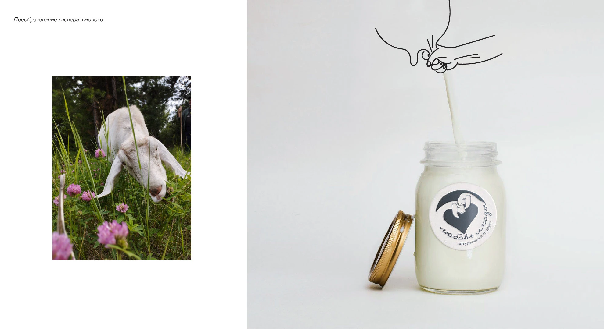 сыроварня "Любовь и козы" — Изображение №5 — Брендинг, Графика на Dprofile