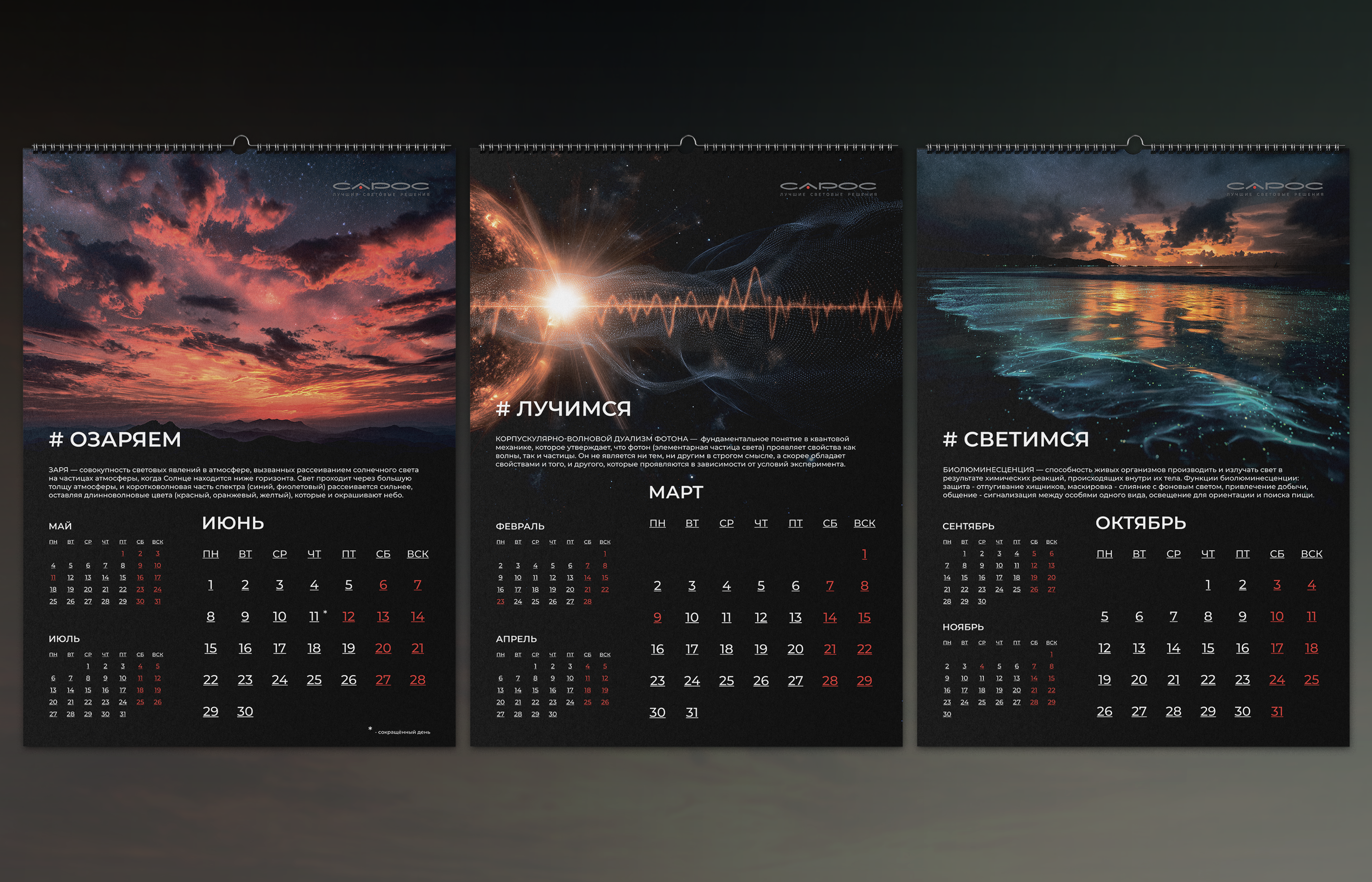 Космический календарь 2026 — Изображение №3 — Брендинг, Графика на Dprofile