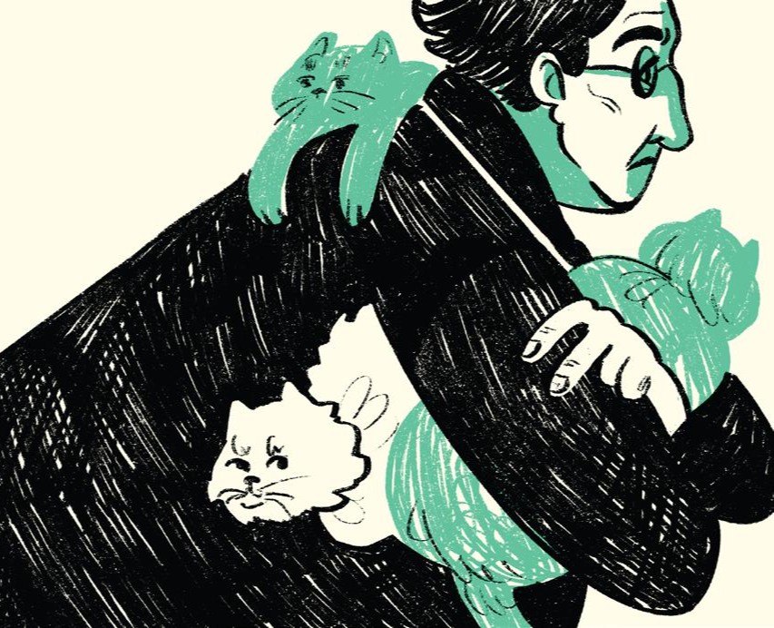 Кот Шредингера на Dprofile