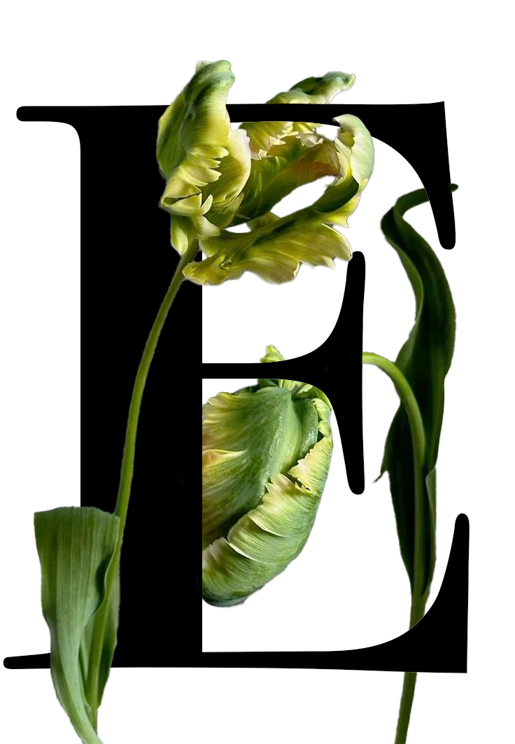 открытки в Photoshop — Изображение №2 — Графика, Промдизайн на Dprofile