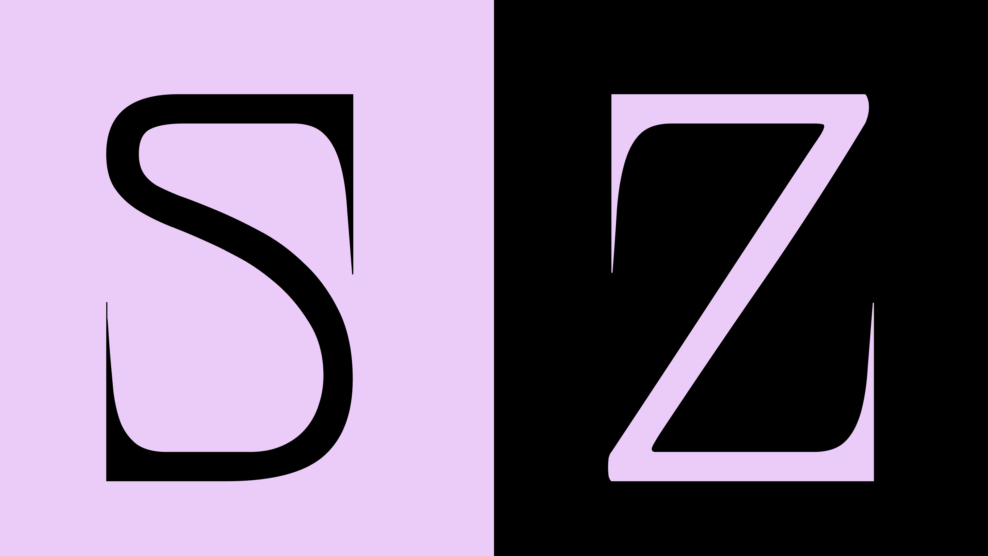 Pointe Vive FONT — Изображение №8 — Брендинг, Графика на Dprofile