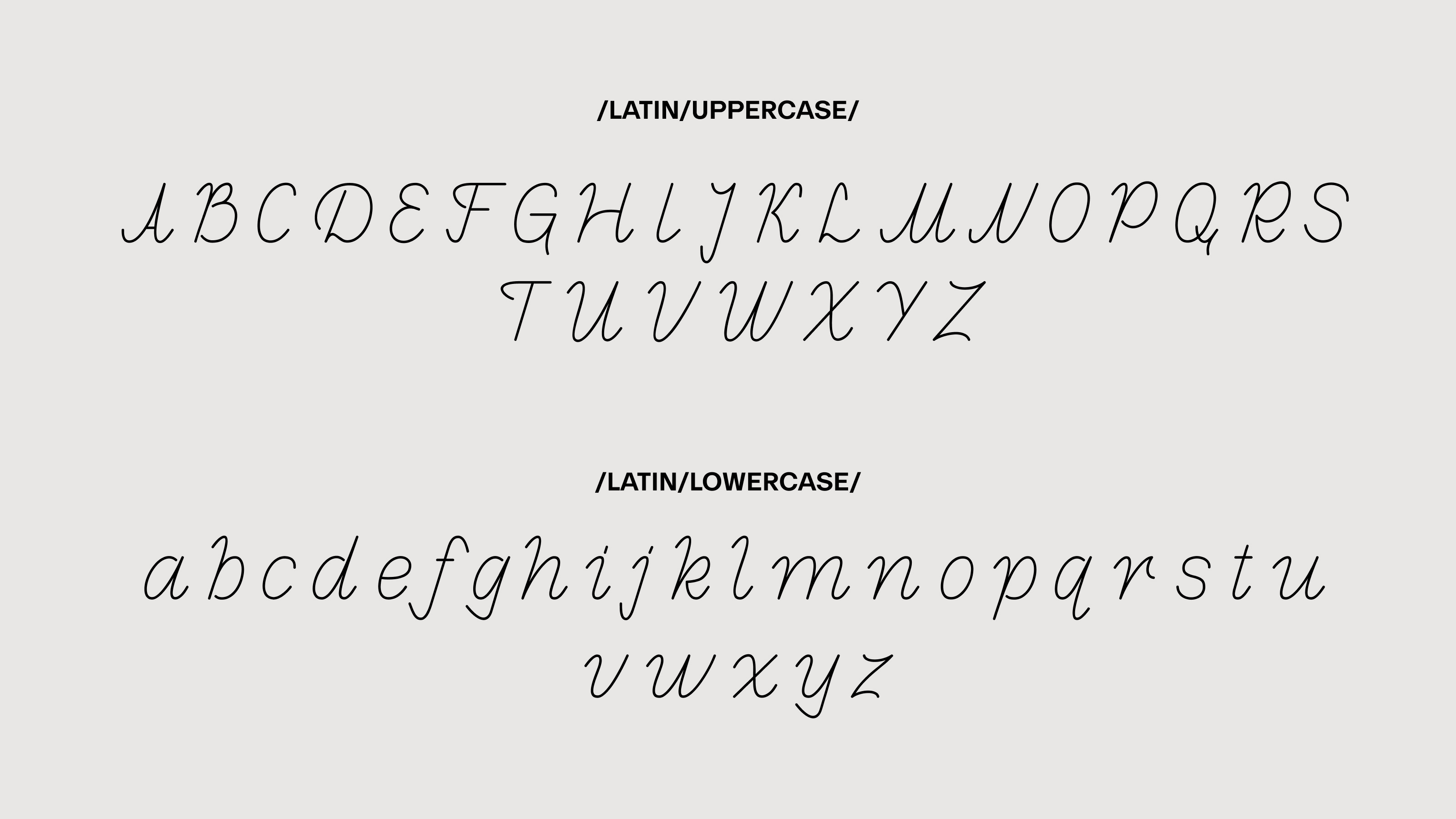 CLARITY FONTFACE — Изображение №4 — Графика на Dprofile