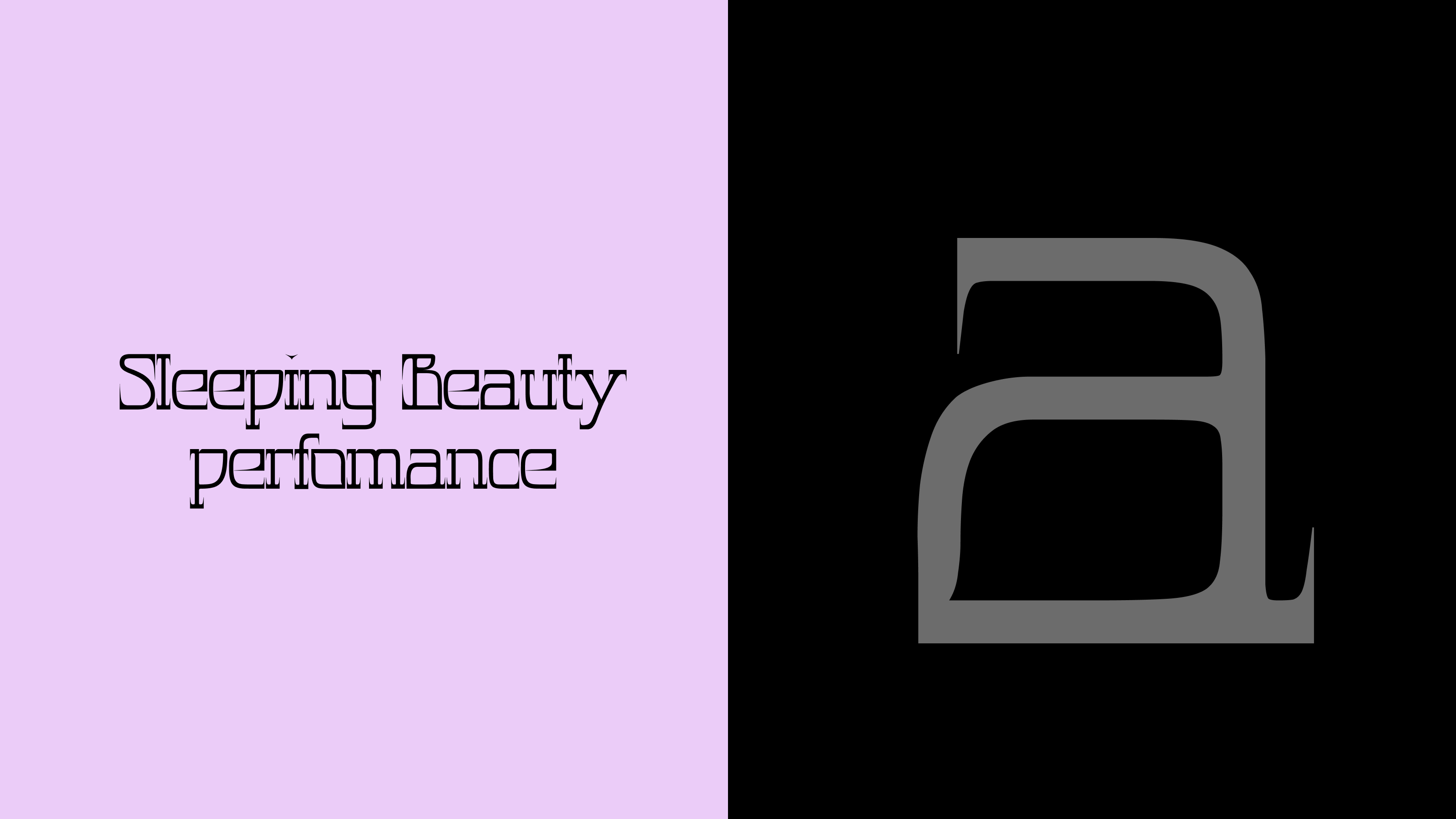 Pointe Vive FONT — Изображение №5 — Брендинг, Графика на Dprofile