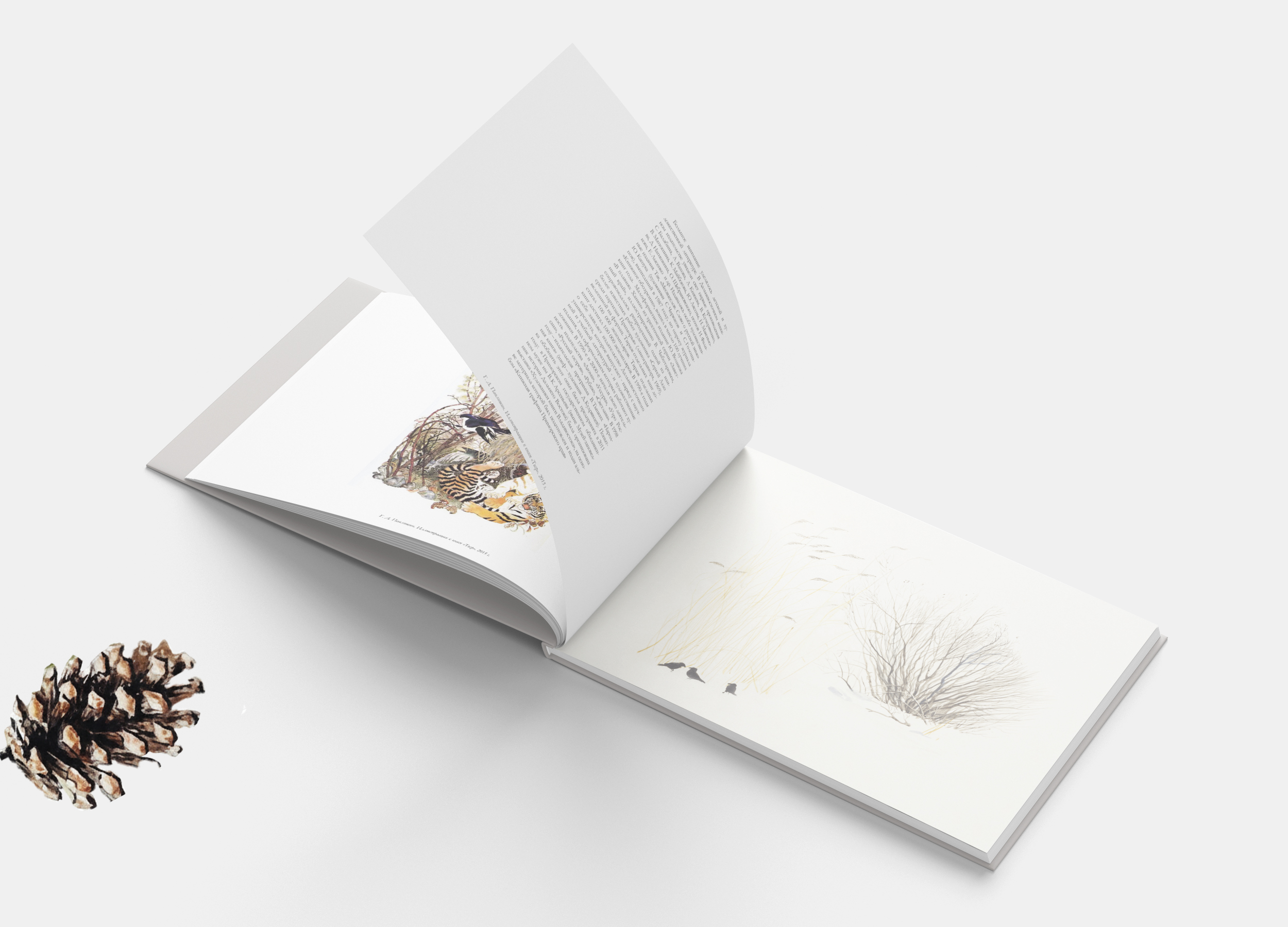 Природа Дальнего Востока — Изображение №4 — Иллюстрация, Графика на Dprofile