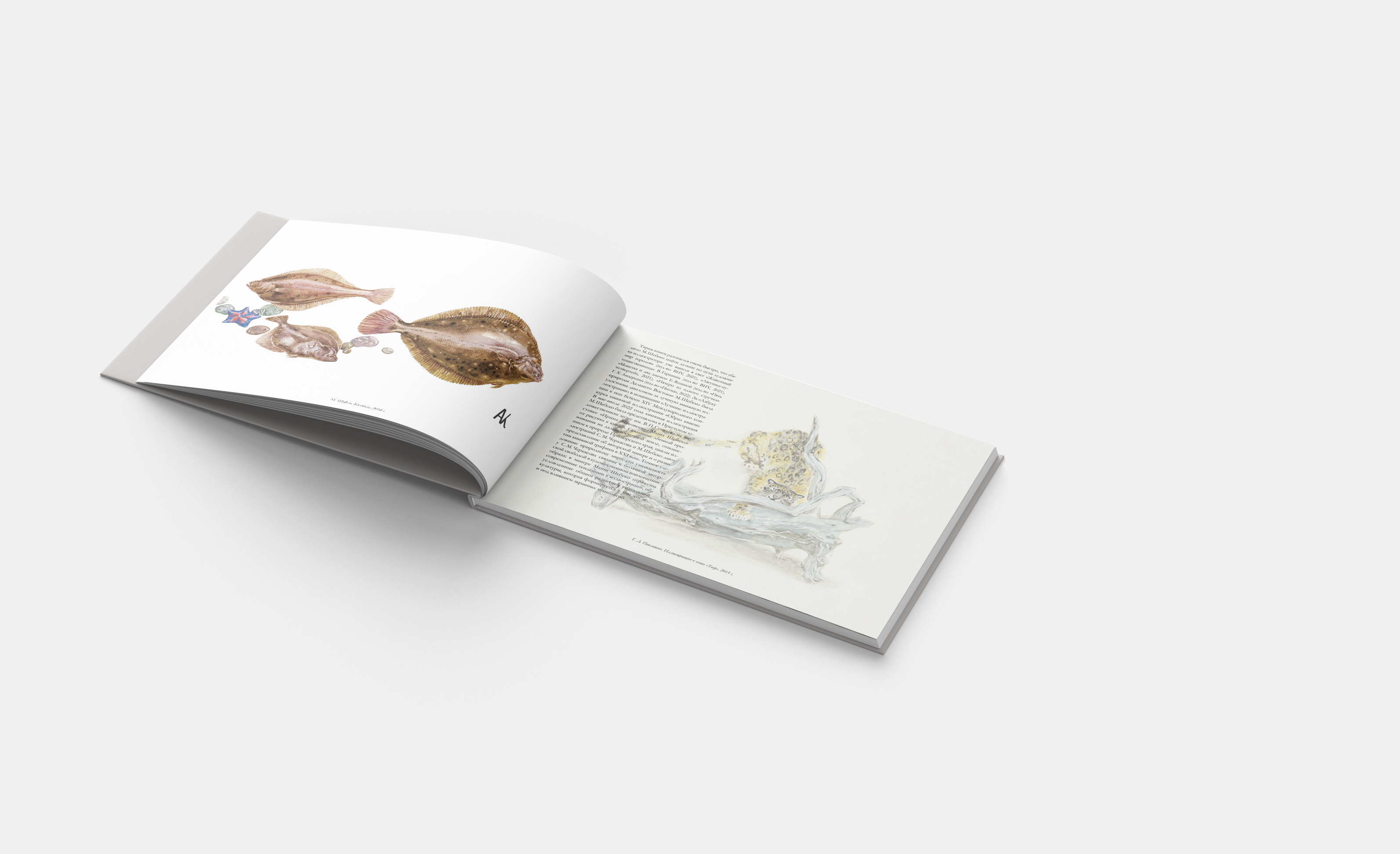 Природа Дальнего Востока — Изображение №6 — Иллюстрация, Графика на Dprofile