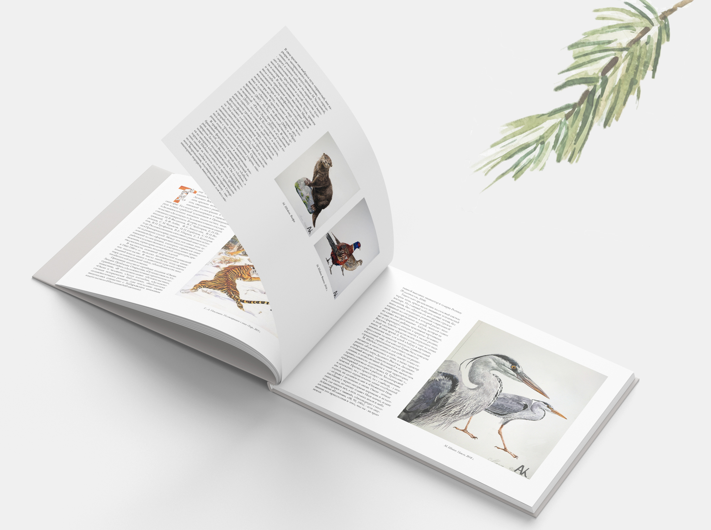 Природа Дальнего Востока — Изображение №2 — Иллюстрация, Графика на Dprofile