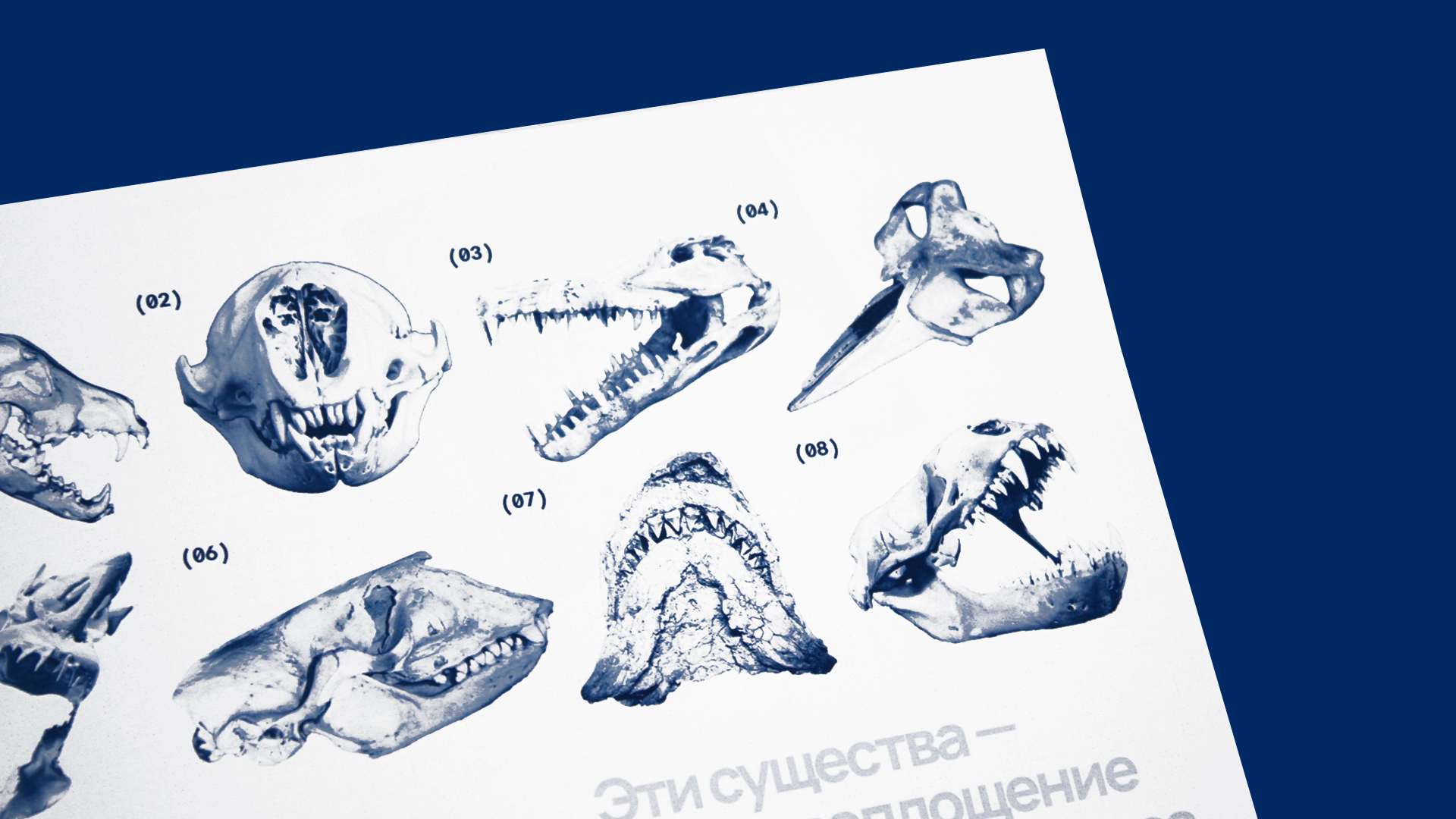 Морские чудовища: от прототипа к медиа-образу — Изображение №31 — Графика на Dprofile