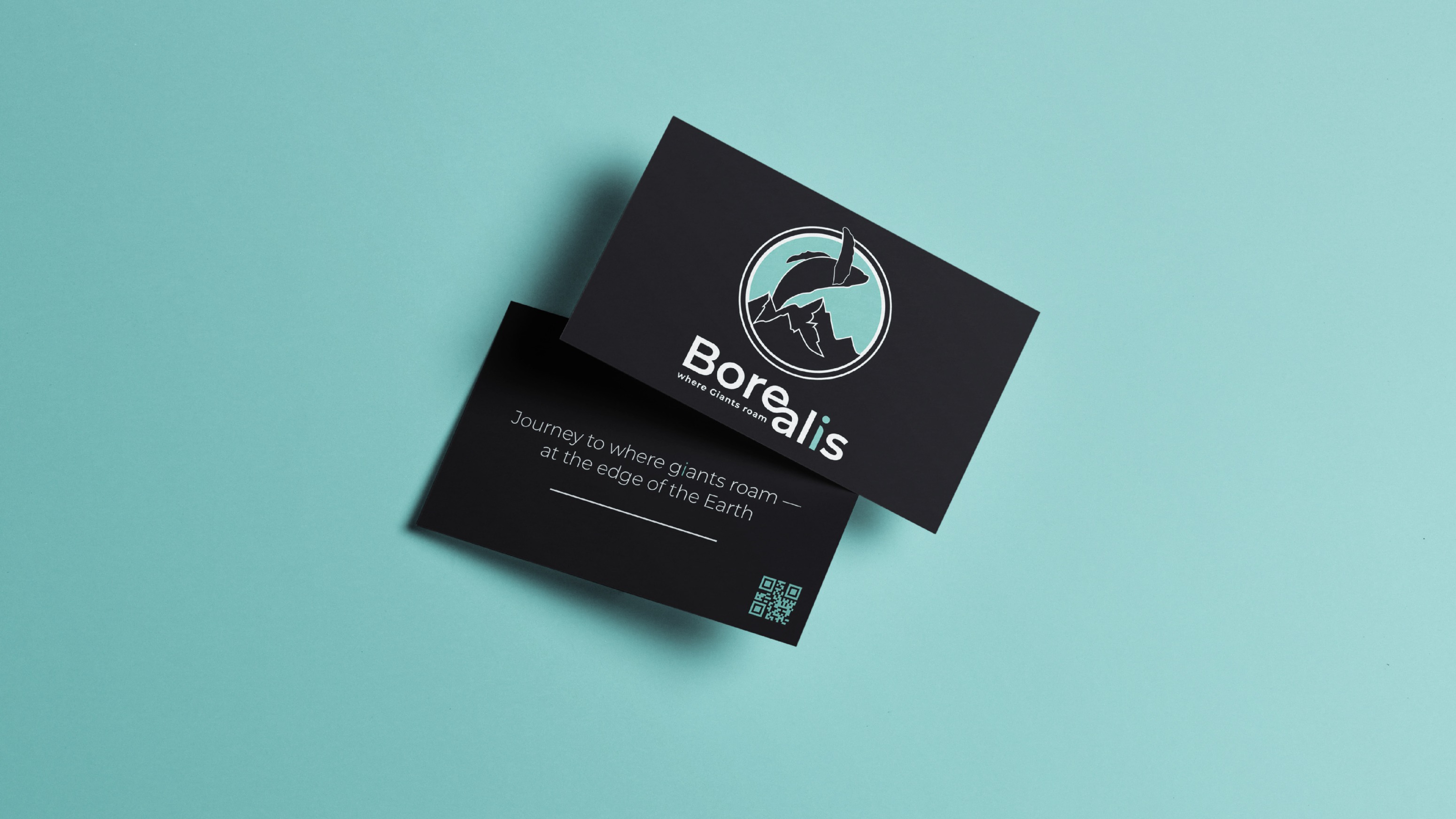 Айдентика - Туристическая компания Borealis — Изображение №5 — Брендинг на Dprofile