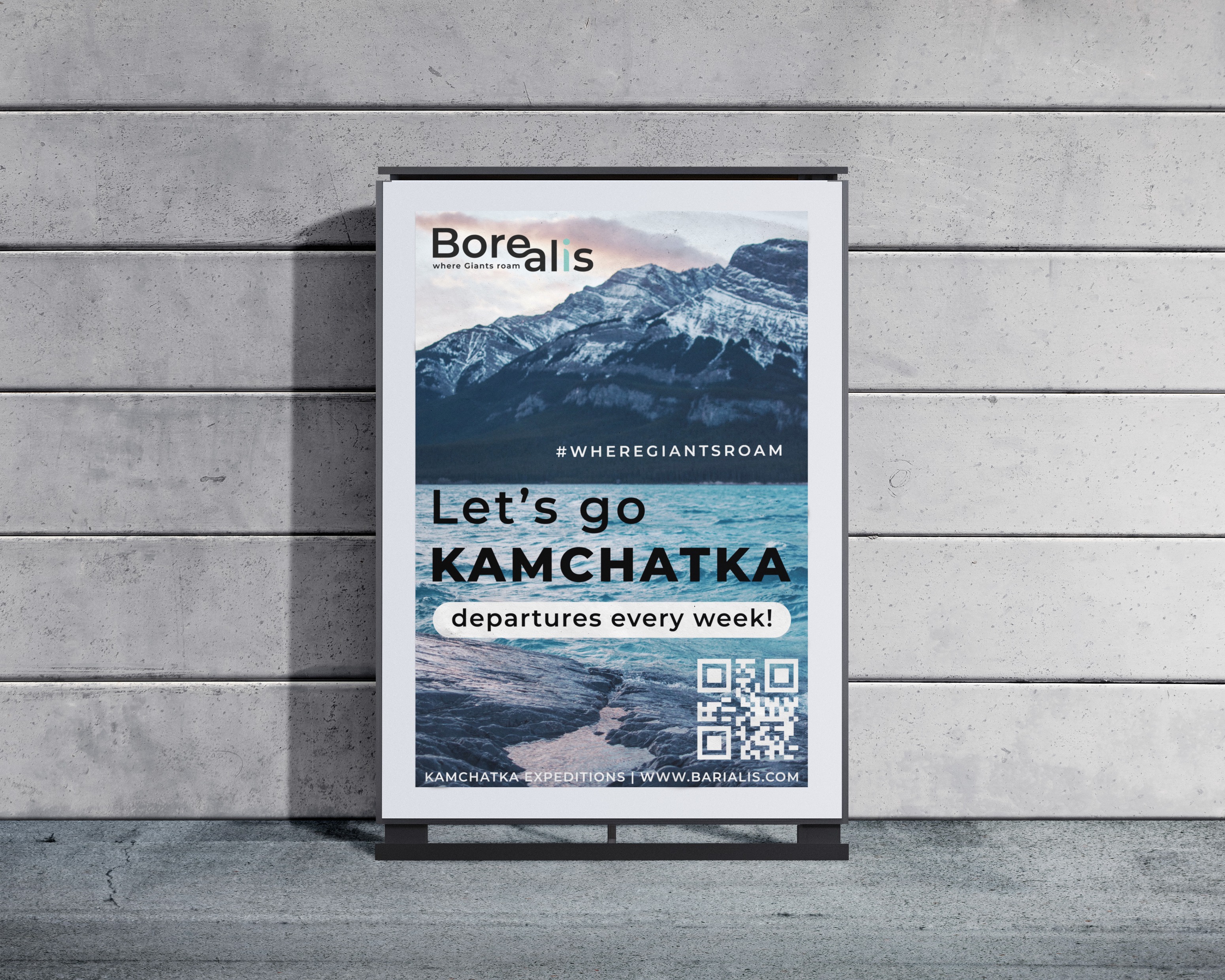 Айдентика - Туристическая компания Borealis — Изображение №7 — Брендинг на Dprofile