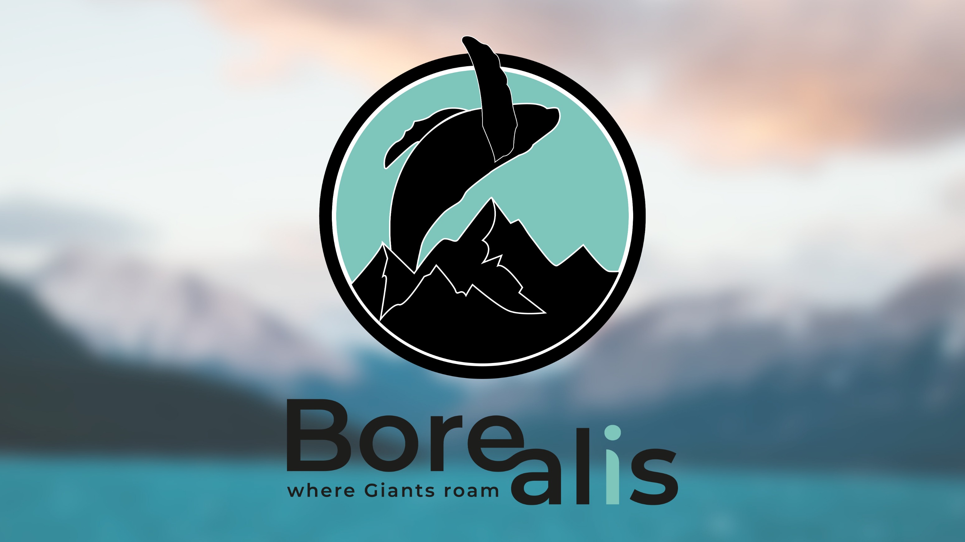 Айдентика - Туристическая компания Borealis — Изображение №2 — Брендинг на Dprofile