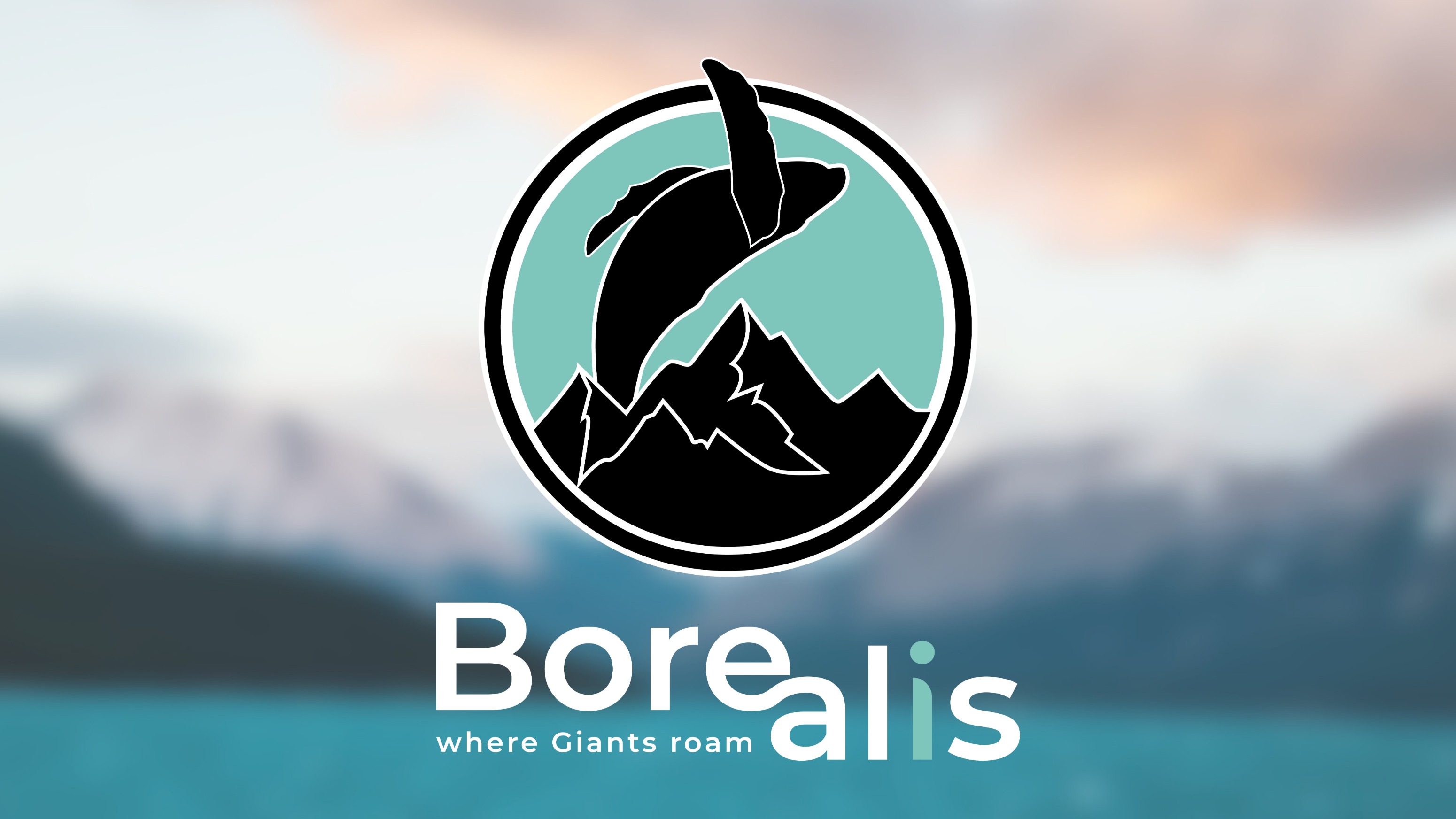 Айдентика - Туристическая компания Borealis — Изображение №1 — Брендинг на Dprofile