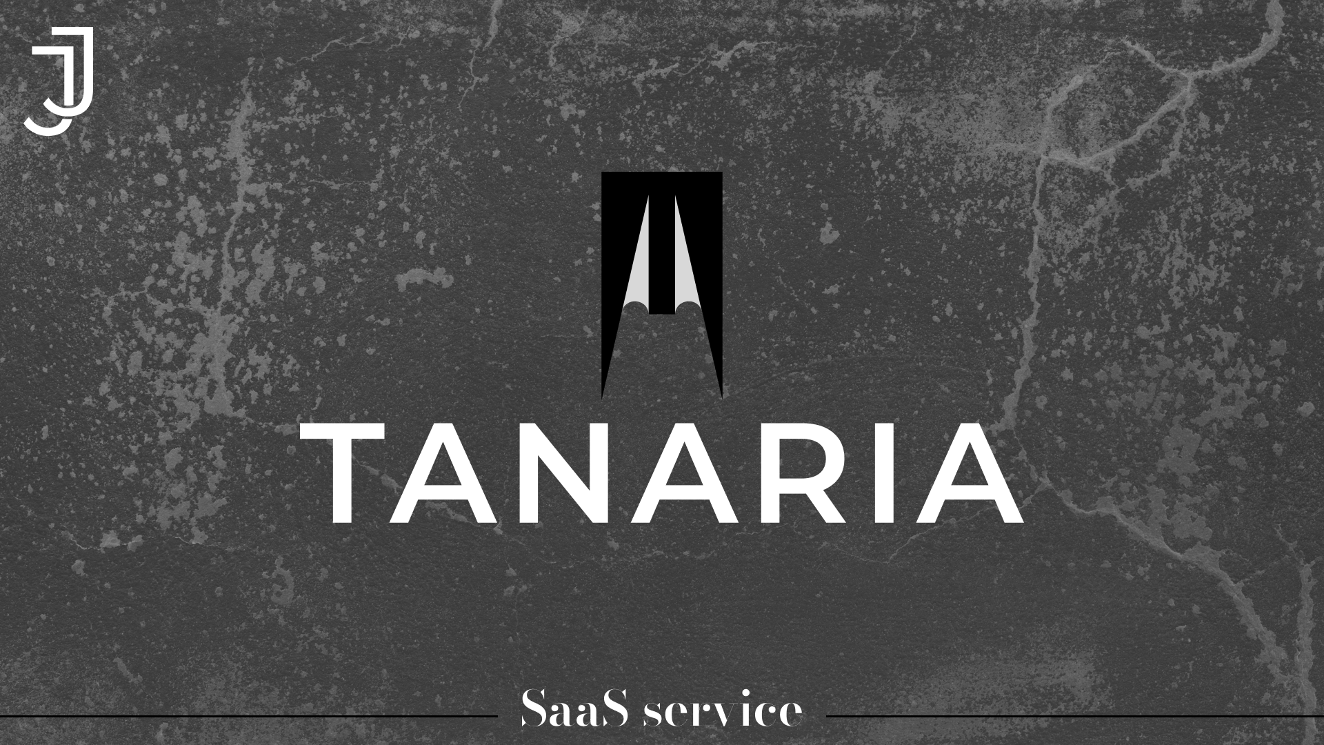 LOGOFOLIO 2025-2026 — Изображение №5 — Брендинг на Dprofile