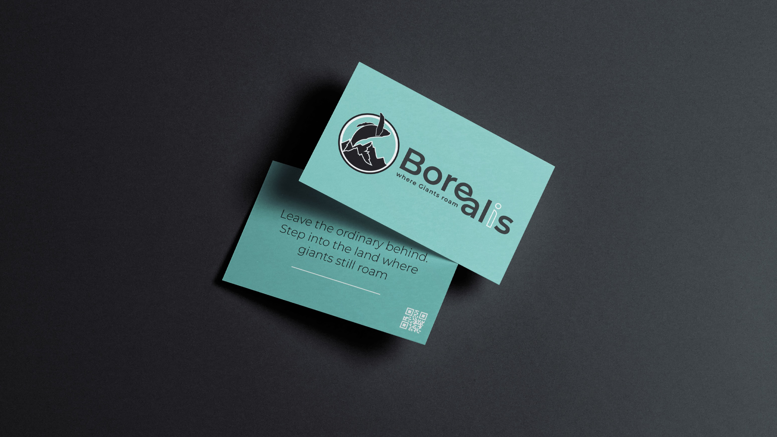 Айдентика - Туристическая компания Borealis — Изображение №6 — Брендинг на Dprofile