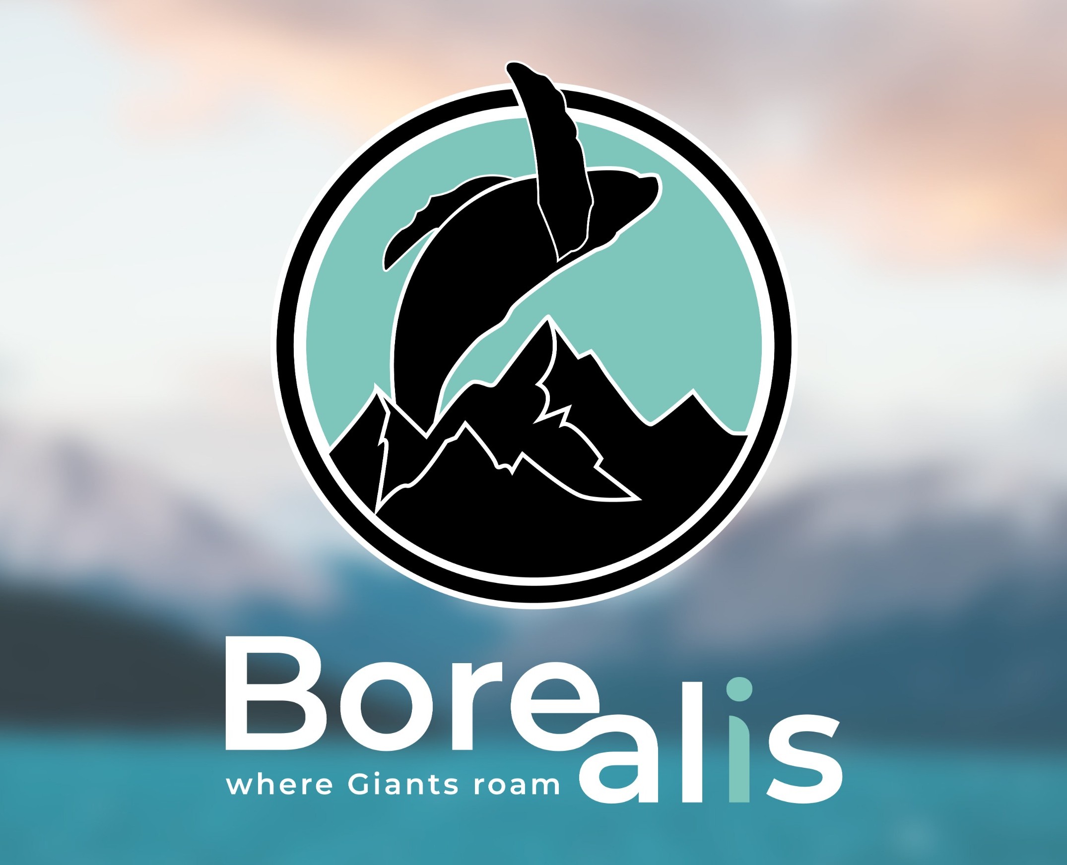 Айдентика - Туристическая компания Borealis — Брендинг на Dprofile