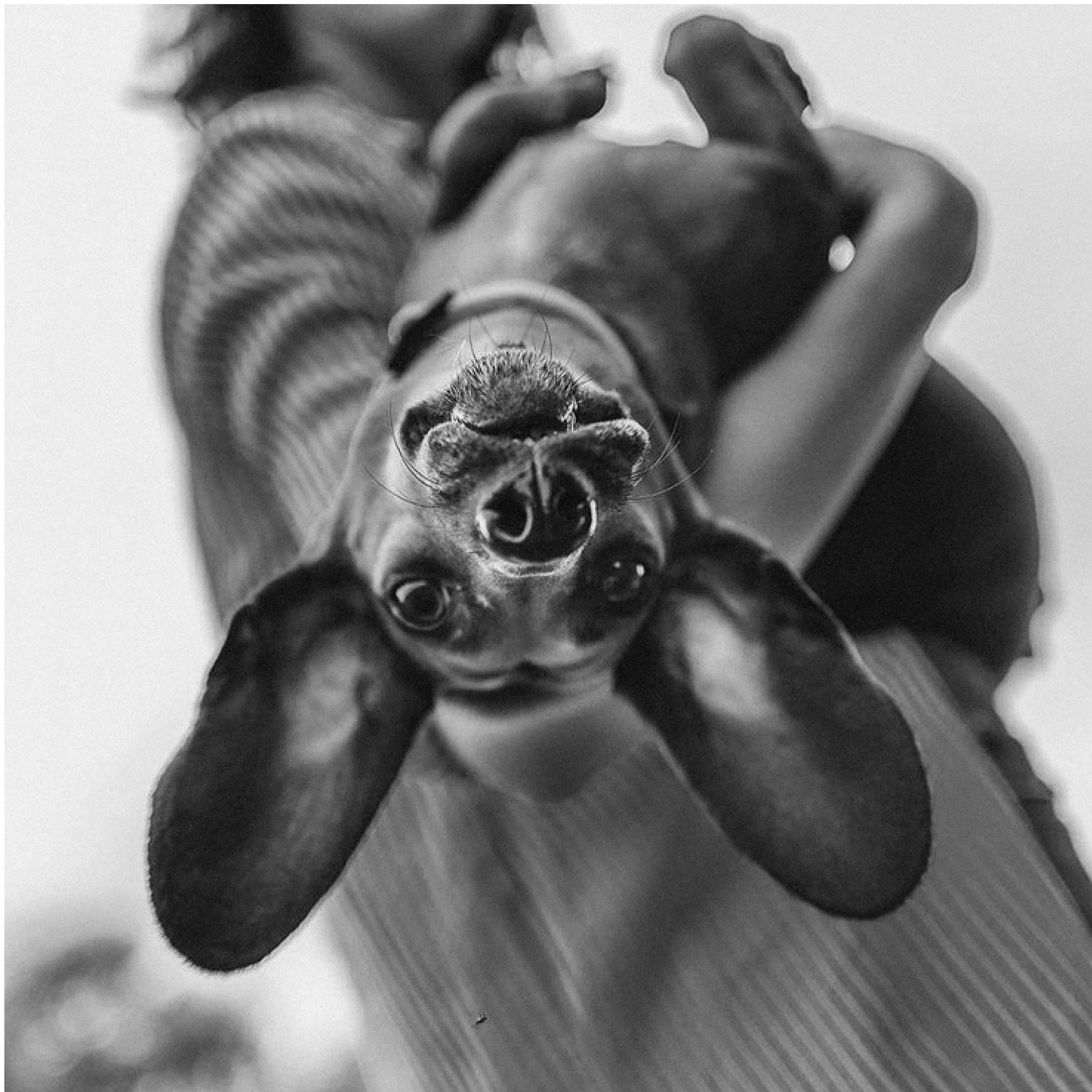 Логотип и айдентика — Изображение №1 — Брендинг на Dprofile