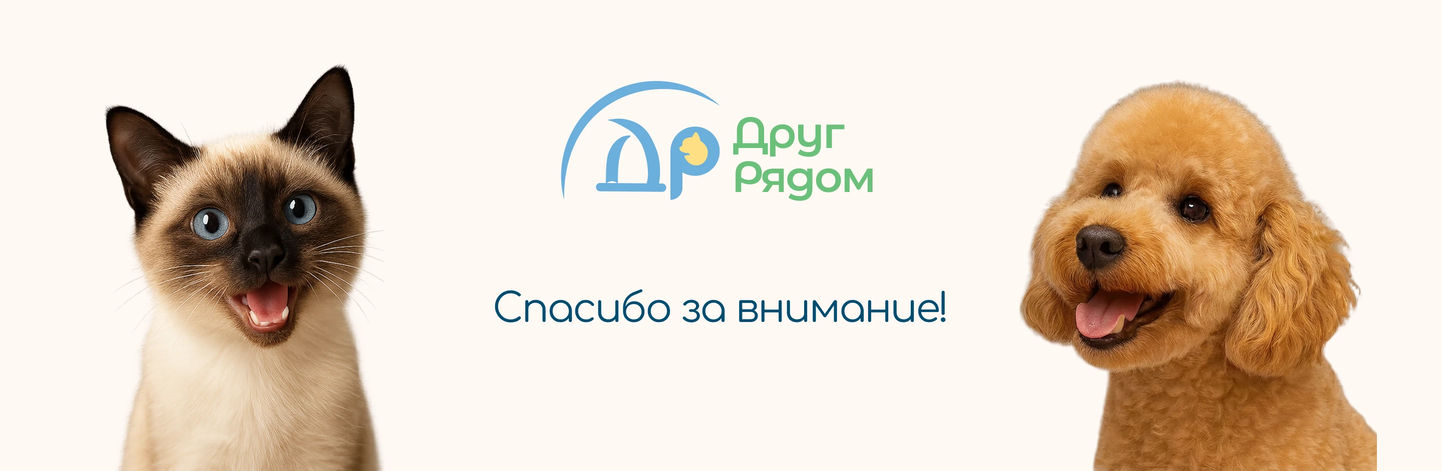 Разработка логотипа, фирменного стиля и лендинг — Изображение №5 — Интерфейсы, Брендинг на Dprofile
