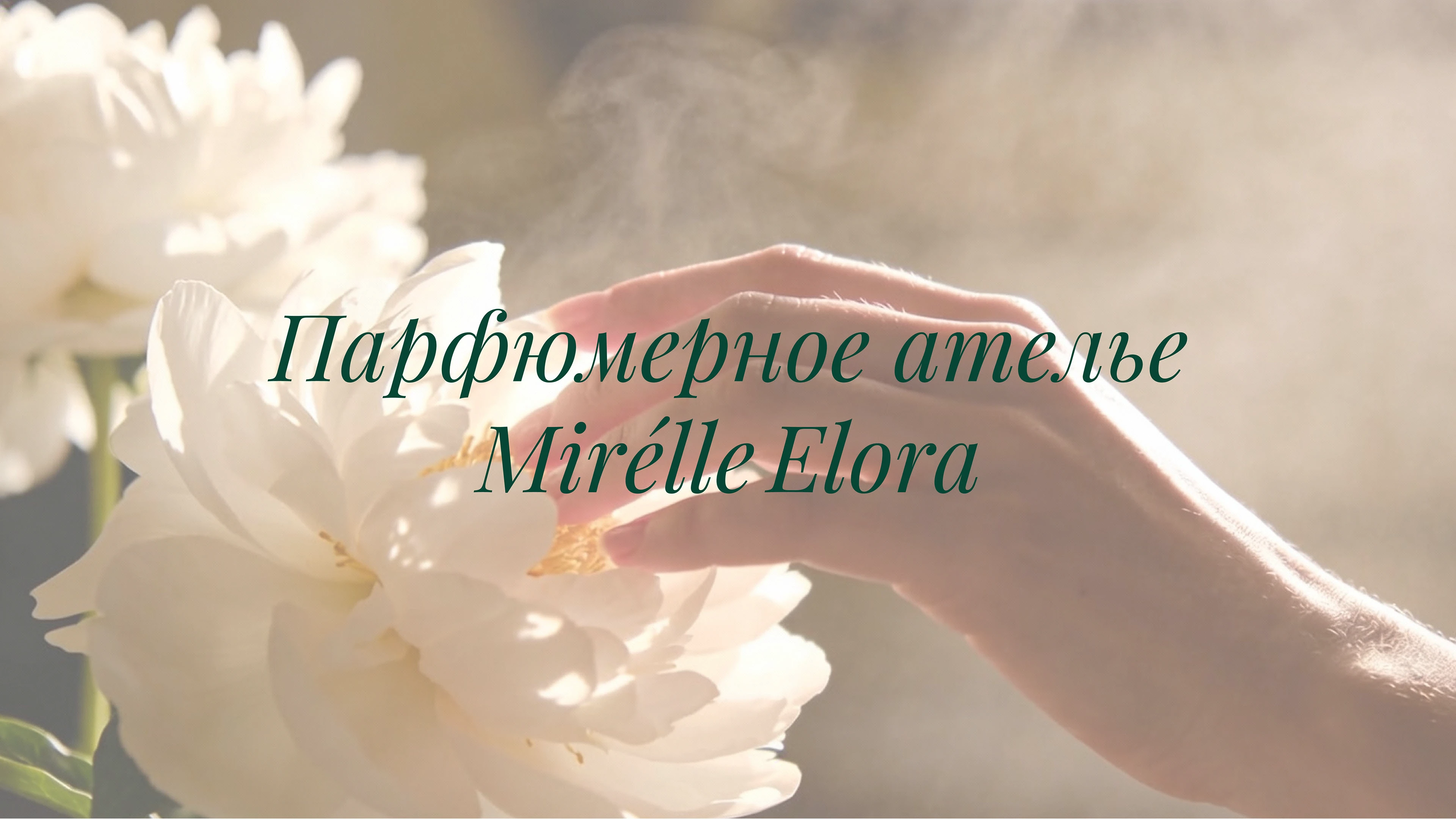 Фирменный стиль и упаковка — Изображение №1 — Брендинг на Dprofile