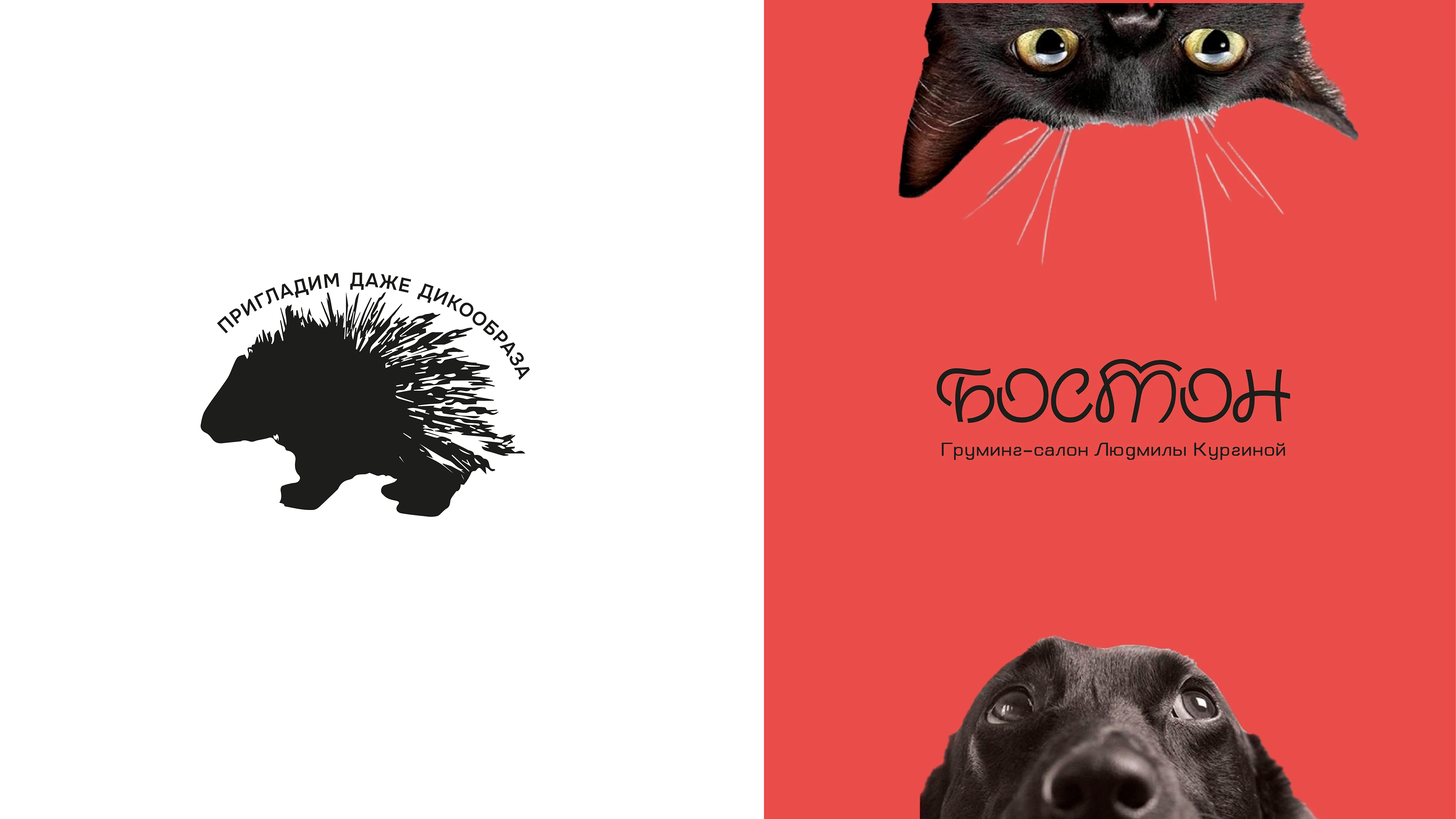 Логотип и айдентика — Изображение №16 — Брендинг на Dprofile