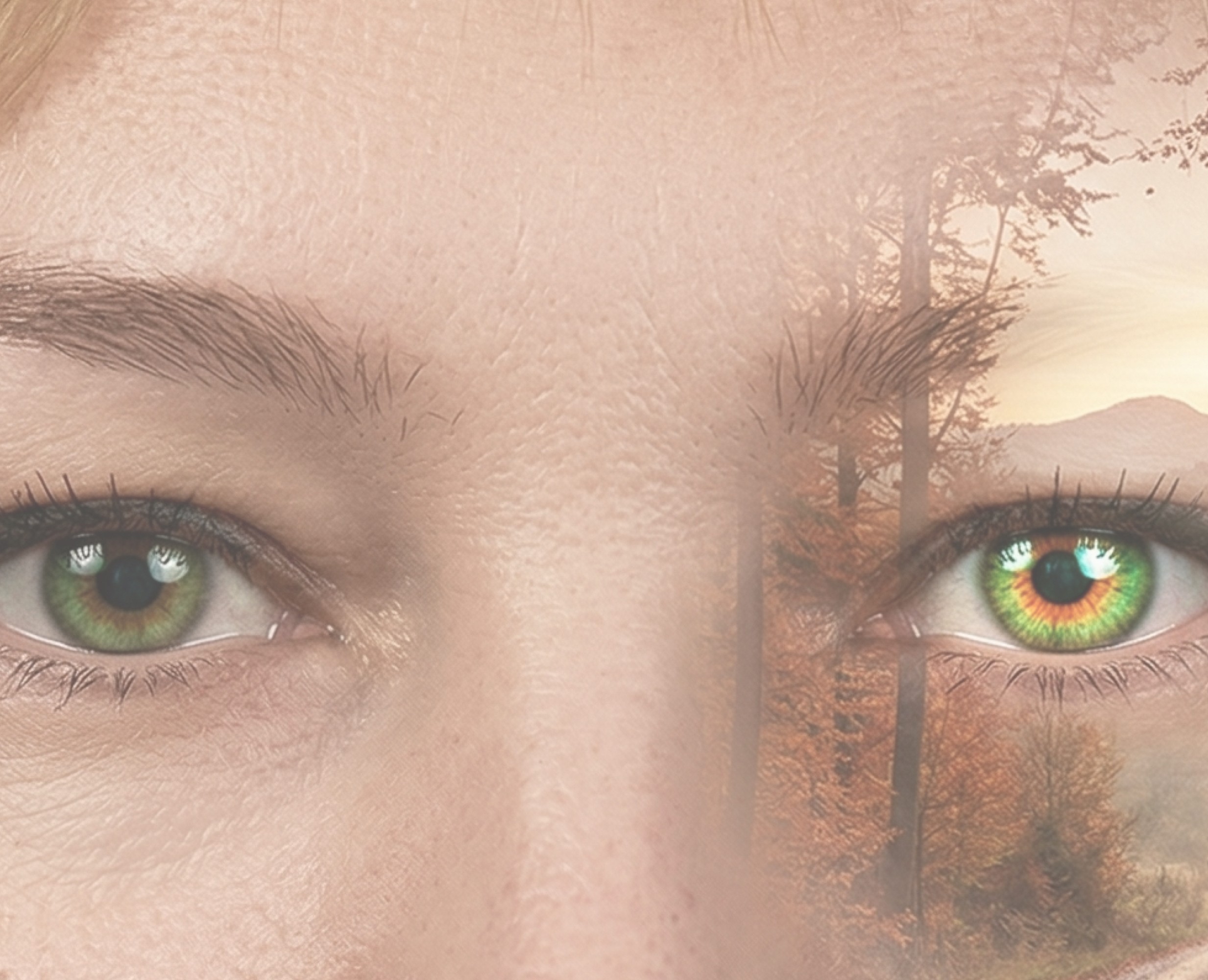 Vision Shapes Reality — Брендинг, Графика на Dprofile