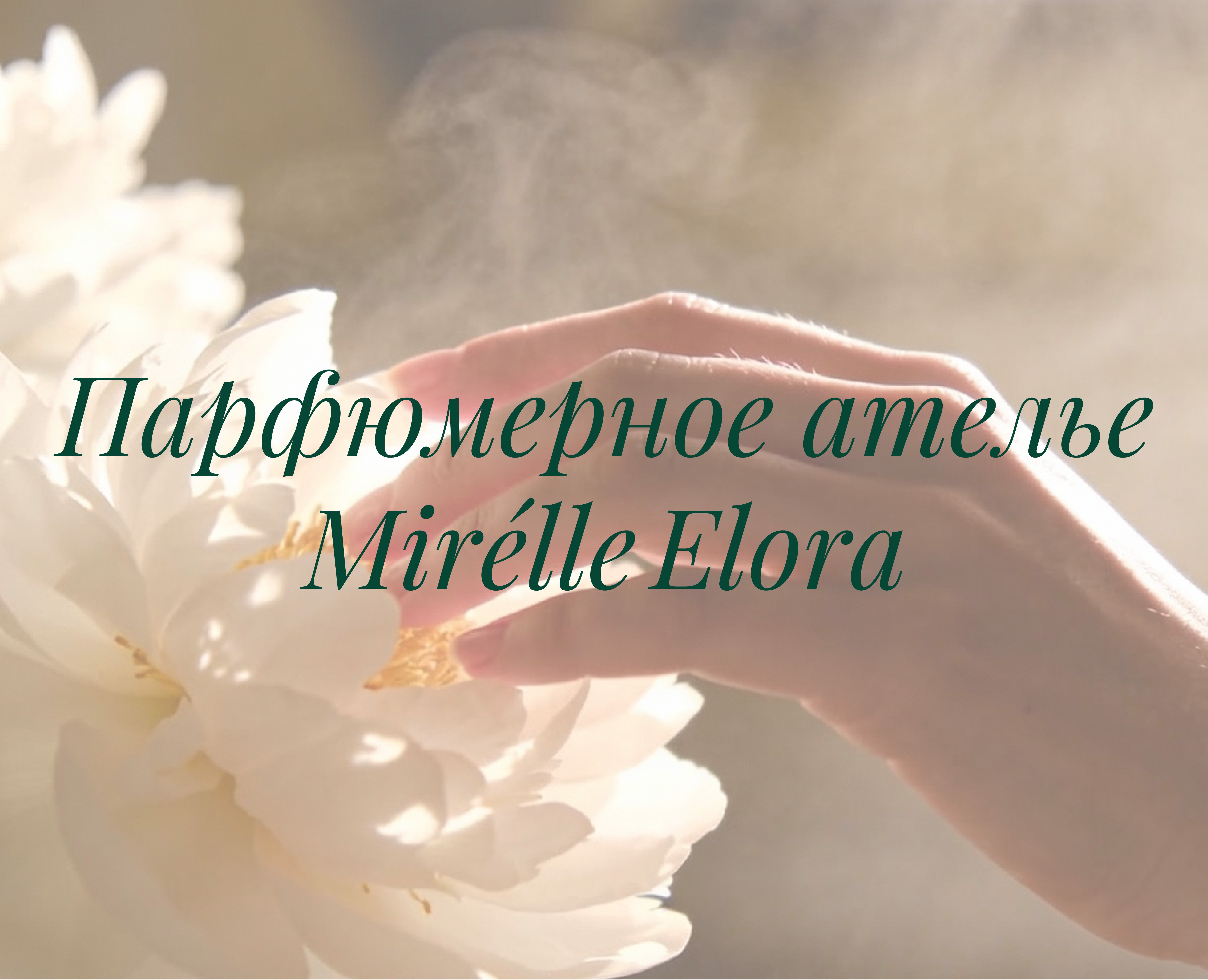 Фирменный стиль и упаковка — Брендинг на Dprofile