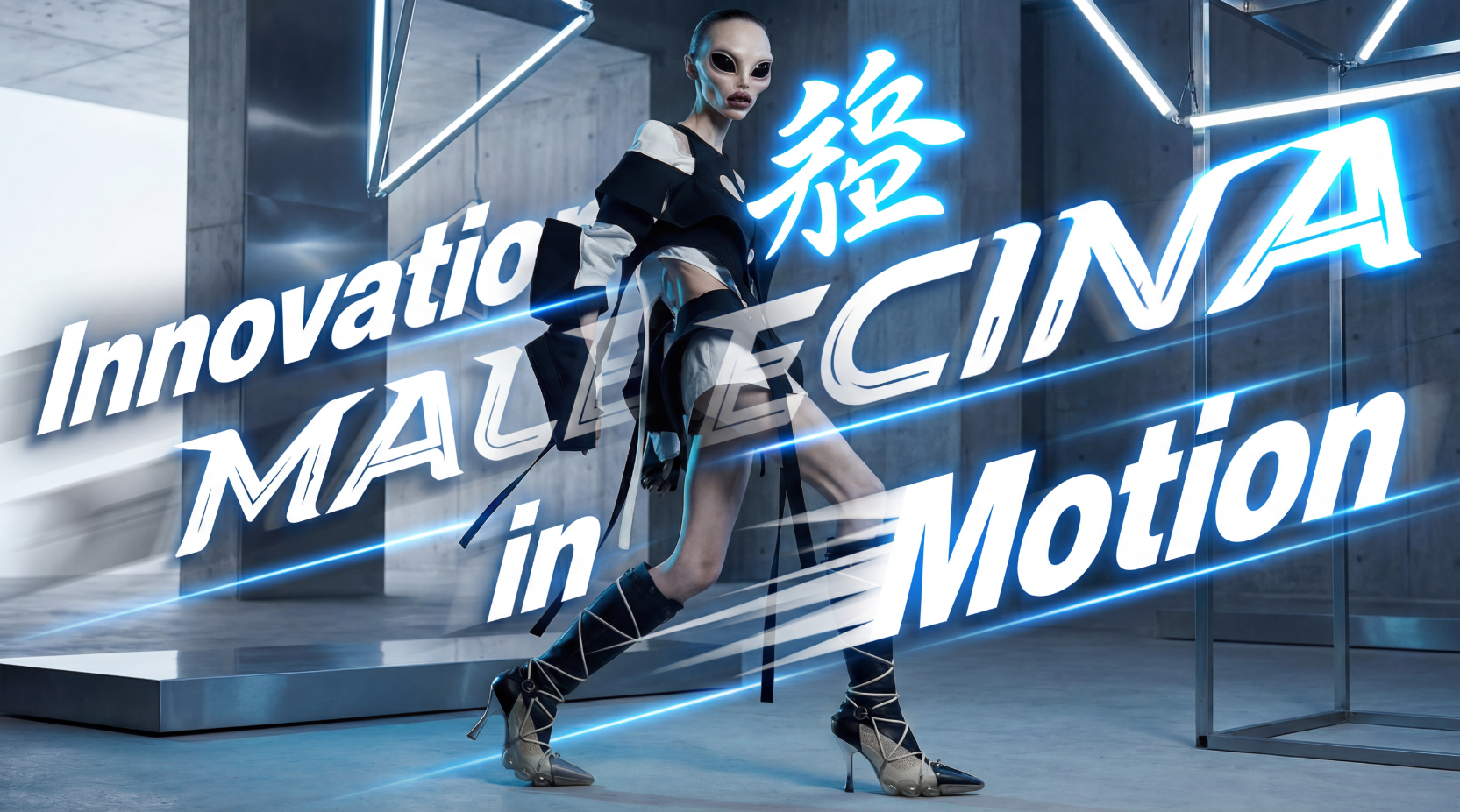 Malecina- Полная разработка бренда женской обуви — Изображение №14 — Брендинг на Dprofile