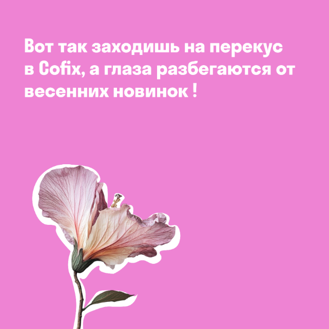 Учебный проект Cofix для Skillbox — Изображение №5 — Брендинг, Графика на Dprofile