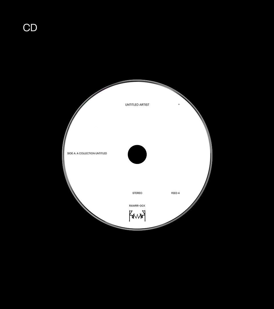 Rawrr records — Изображение №4 — Брендинг, Промдизайн на Dprofile