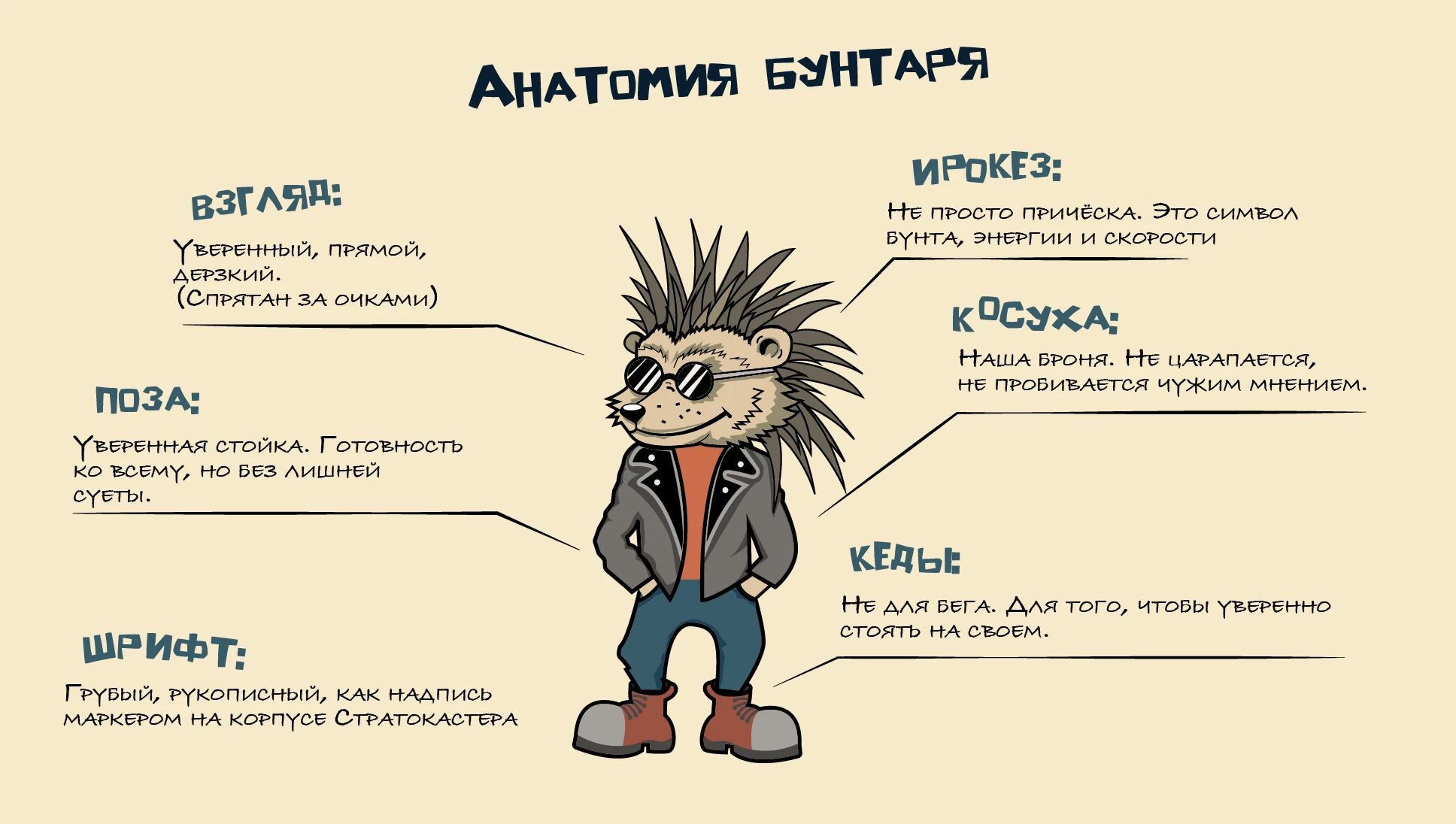Разработка персонажа-логотипа для магазина «Ёж Знает» — Изображение №4 — Брендинг, Графика на Dprofile