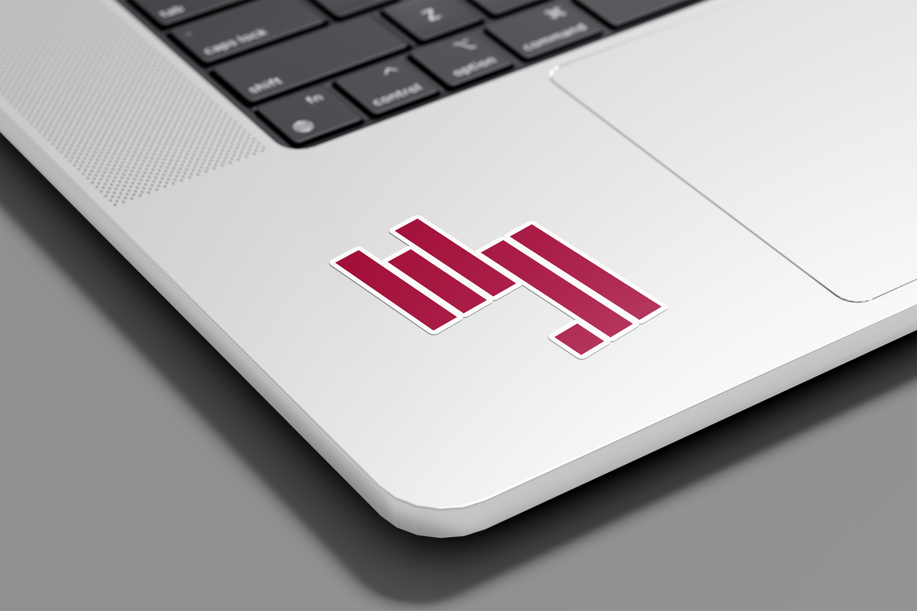 Дизайн айдентики для Школы лекторов фонда «Эволюция» — Изображение №6 — Брендинг на Dprofile