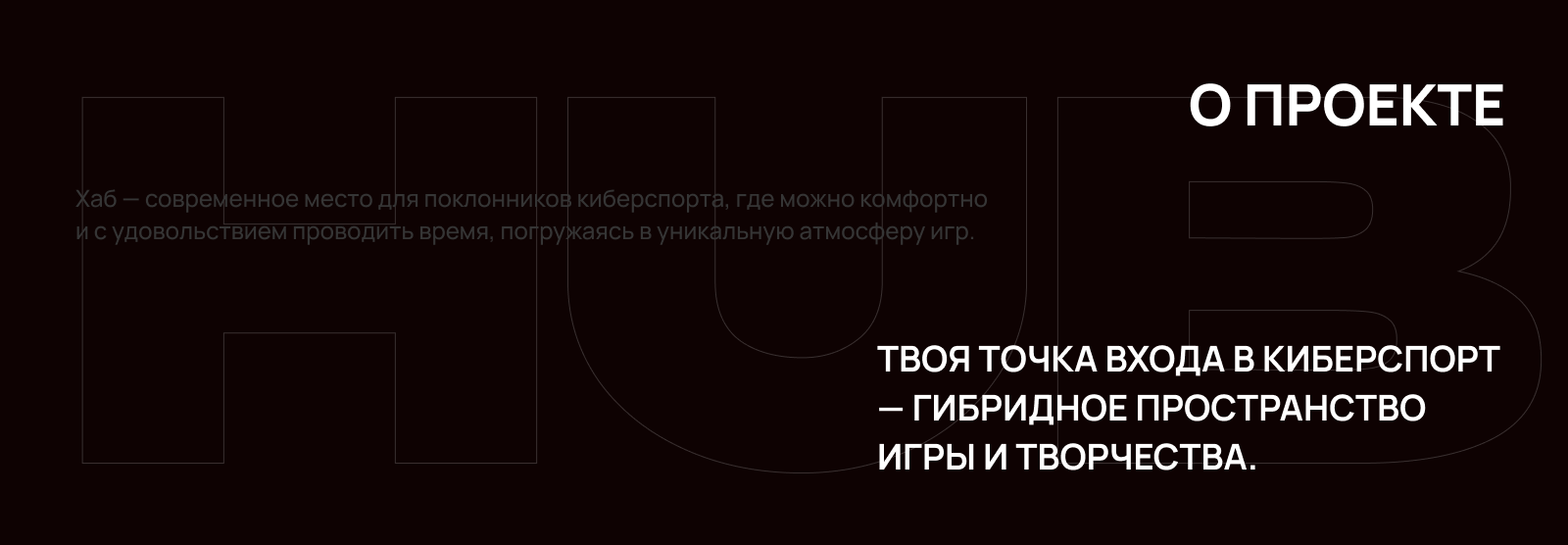 Киберклуб "ХАБ" — Изображение №2 — Брендинг, Маркетинг на Dprofile