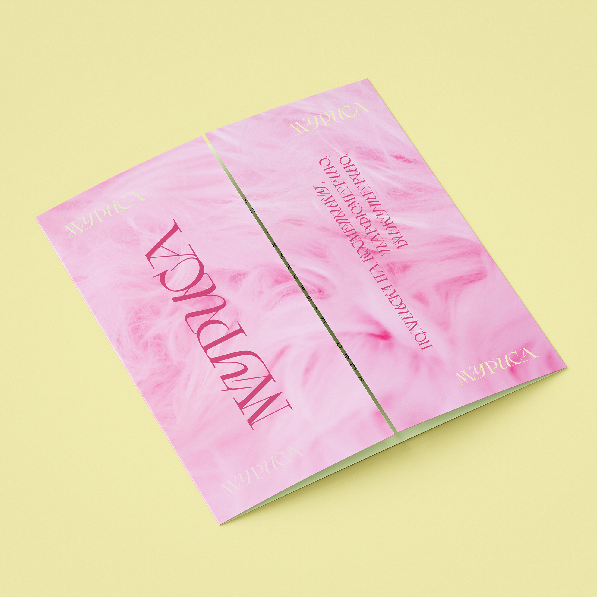 Муриса — Изображение №10 — Брендинг, Иллюстрация на Dprofile