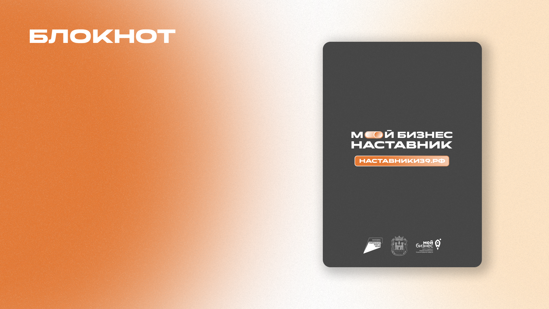 Программа по наставничеству «Мой бизнес – наставник» — Изображение №7 — Брендинг на Dprofile