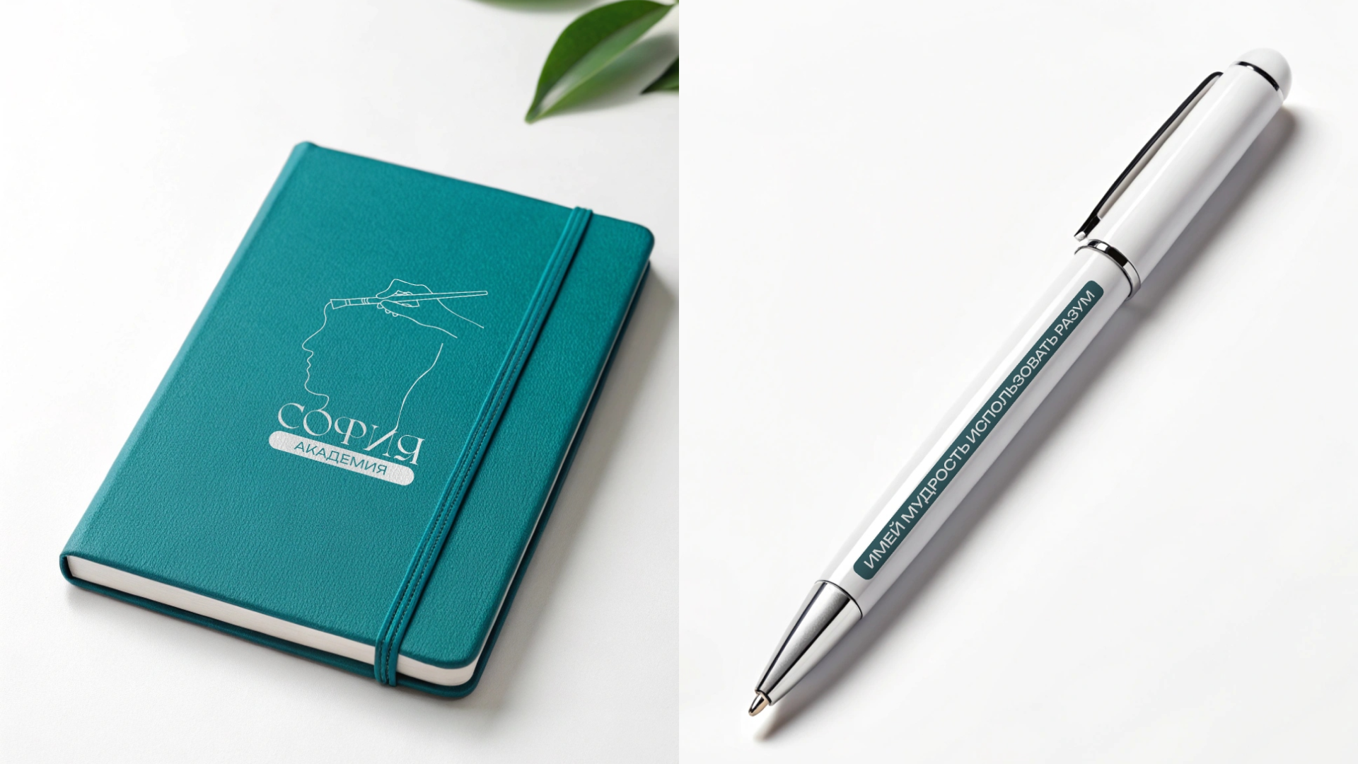 Академия науки, творчества и психологии «София» — Изображение №12 — Брендинг на Dprofile