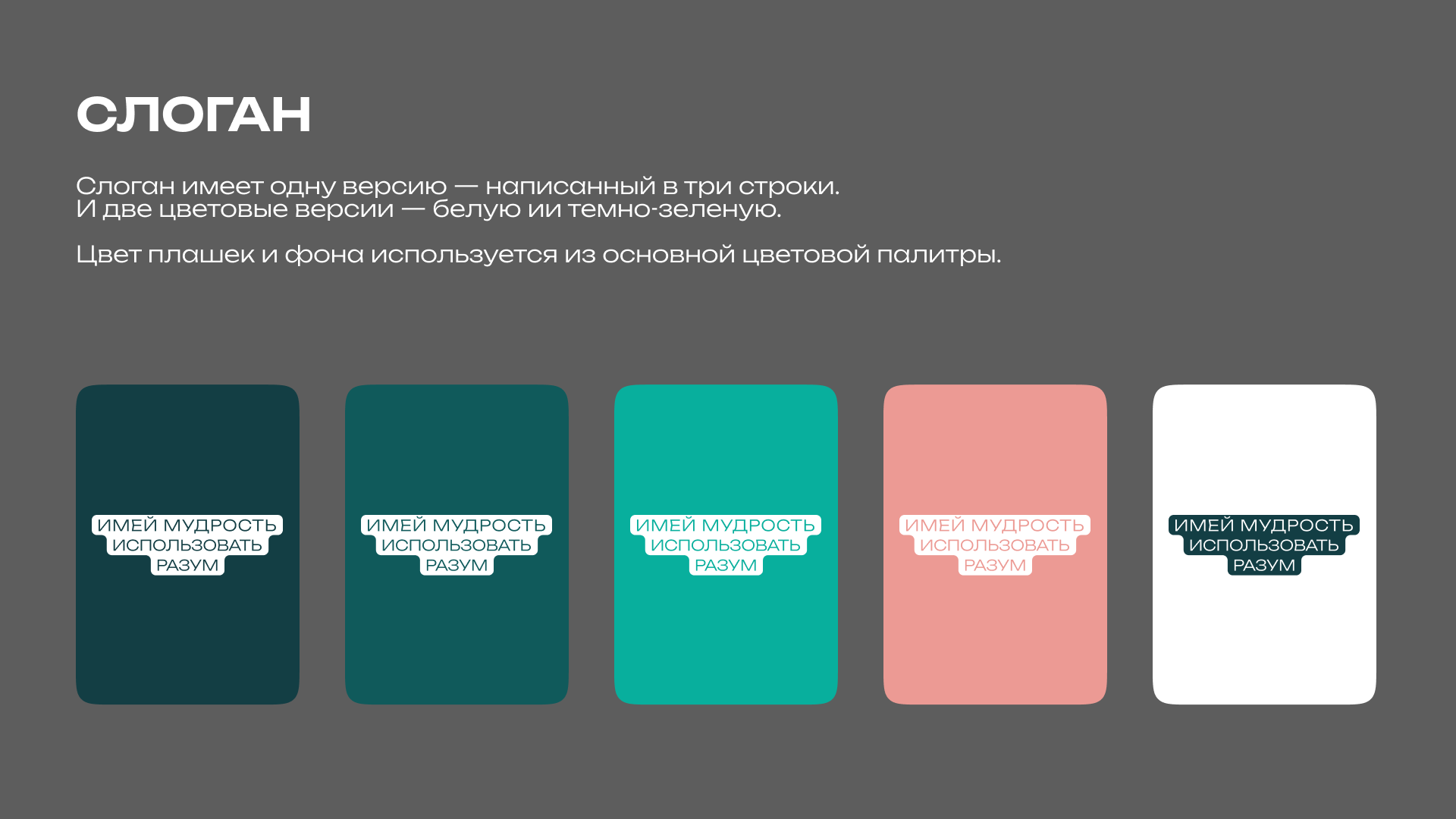 Академия науки, творчества и психологии «София» — Изображение №6 — Брендинг на Dprofile