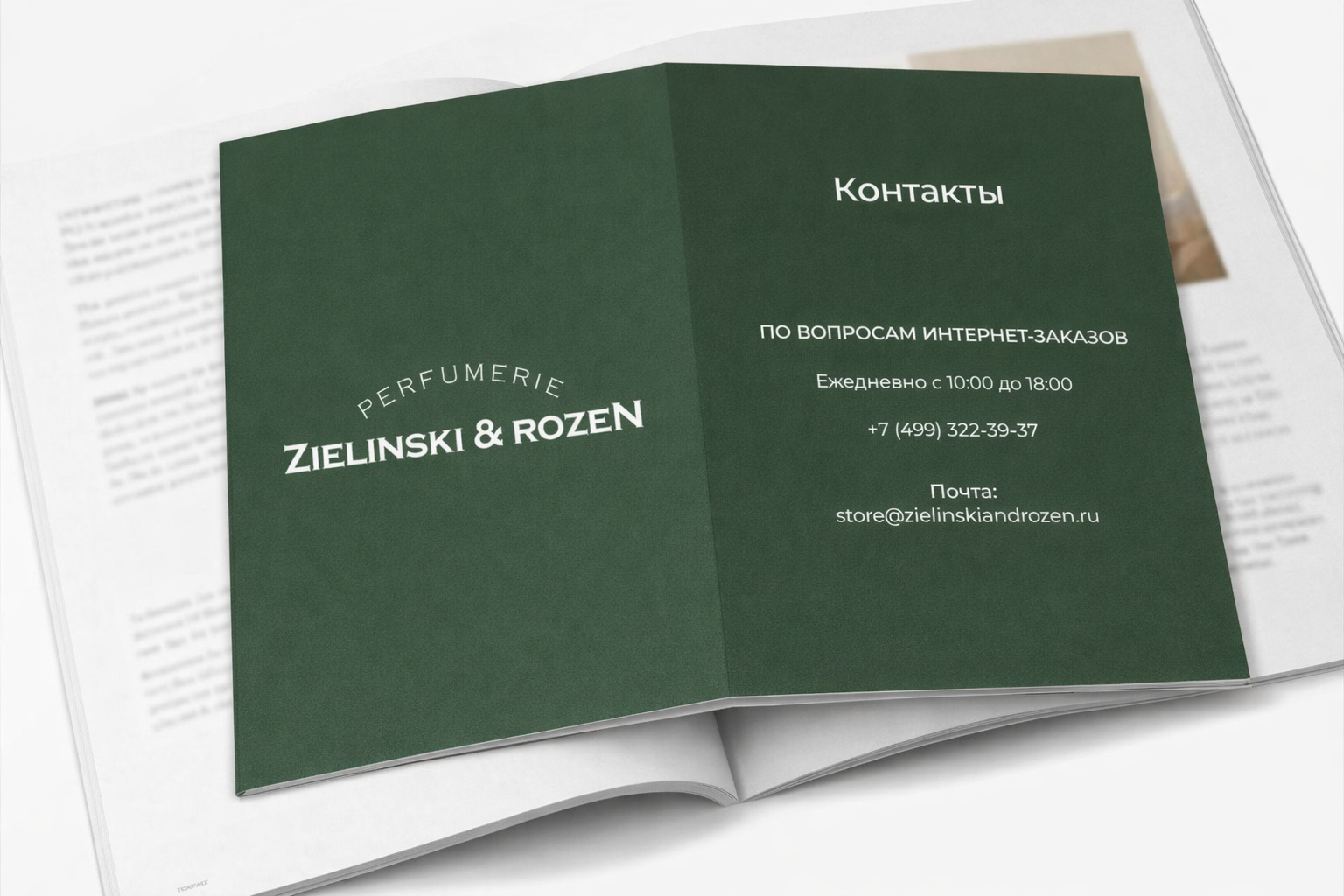 Шаблон буклета Zielinski & Rozen — Изображение №12 — Интерфейсы, Брендинг на Dprofile