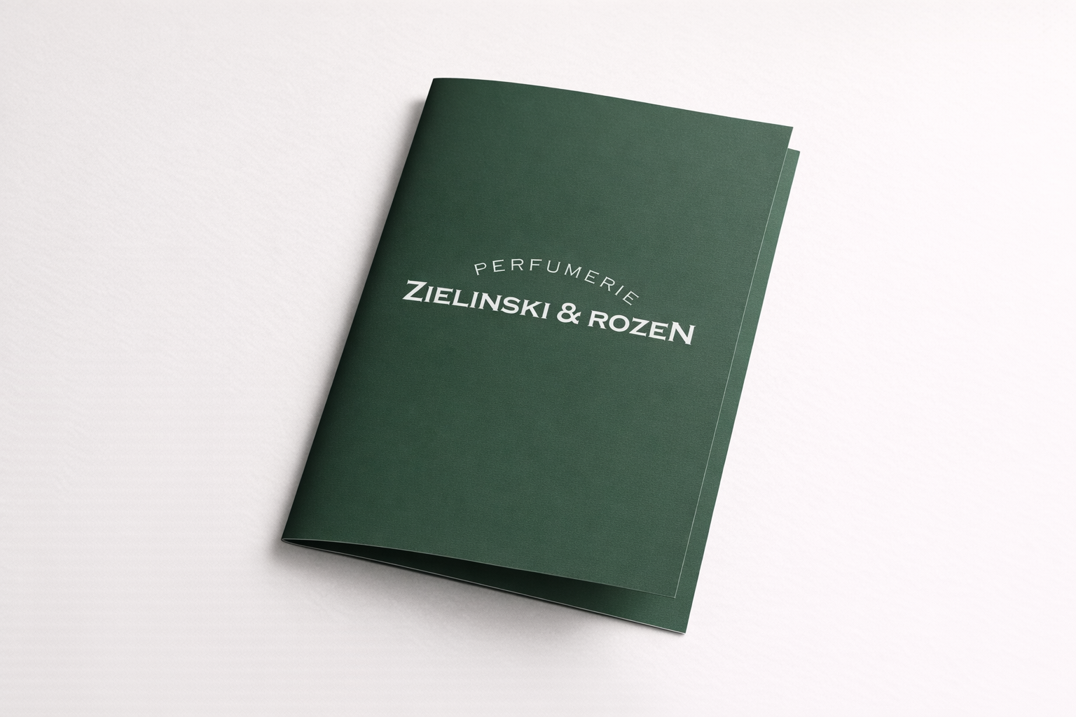 Шаблон буклета Zielinski & Rozen — Изображение №1 — Интерфейсы, Брендинг на Dprofile