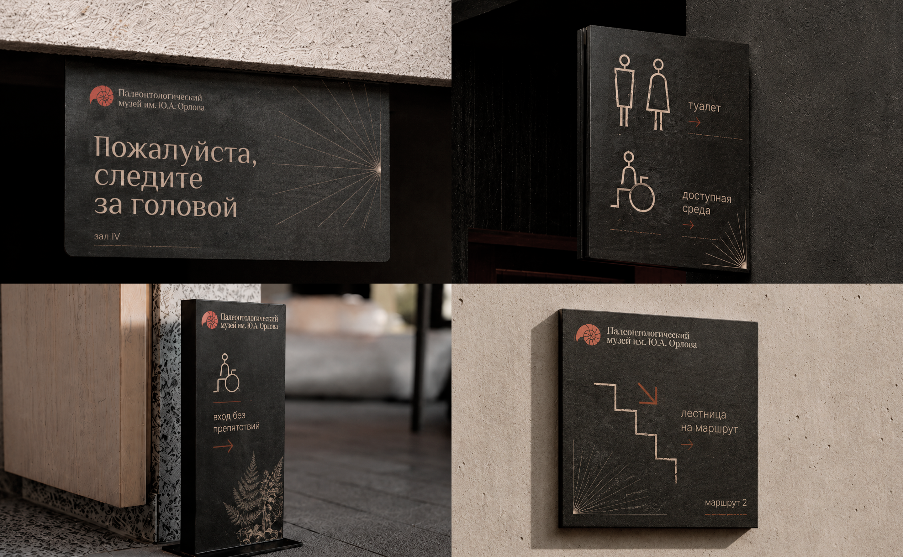 Дизайн-концепция для палеонтологического музея — Изображение №13 — Брендинг на Dprofile