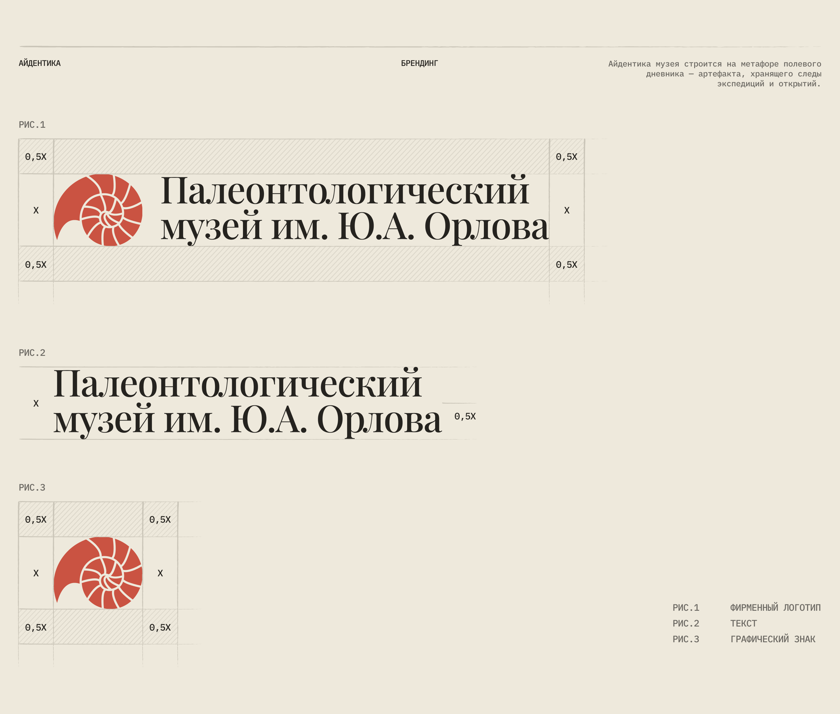 Дизайн-концепция для палеонтологического музея — Изображение №7 — Брендинг на Dprofile