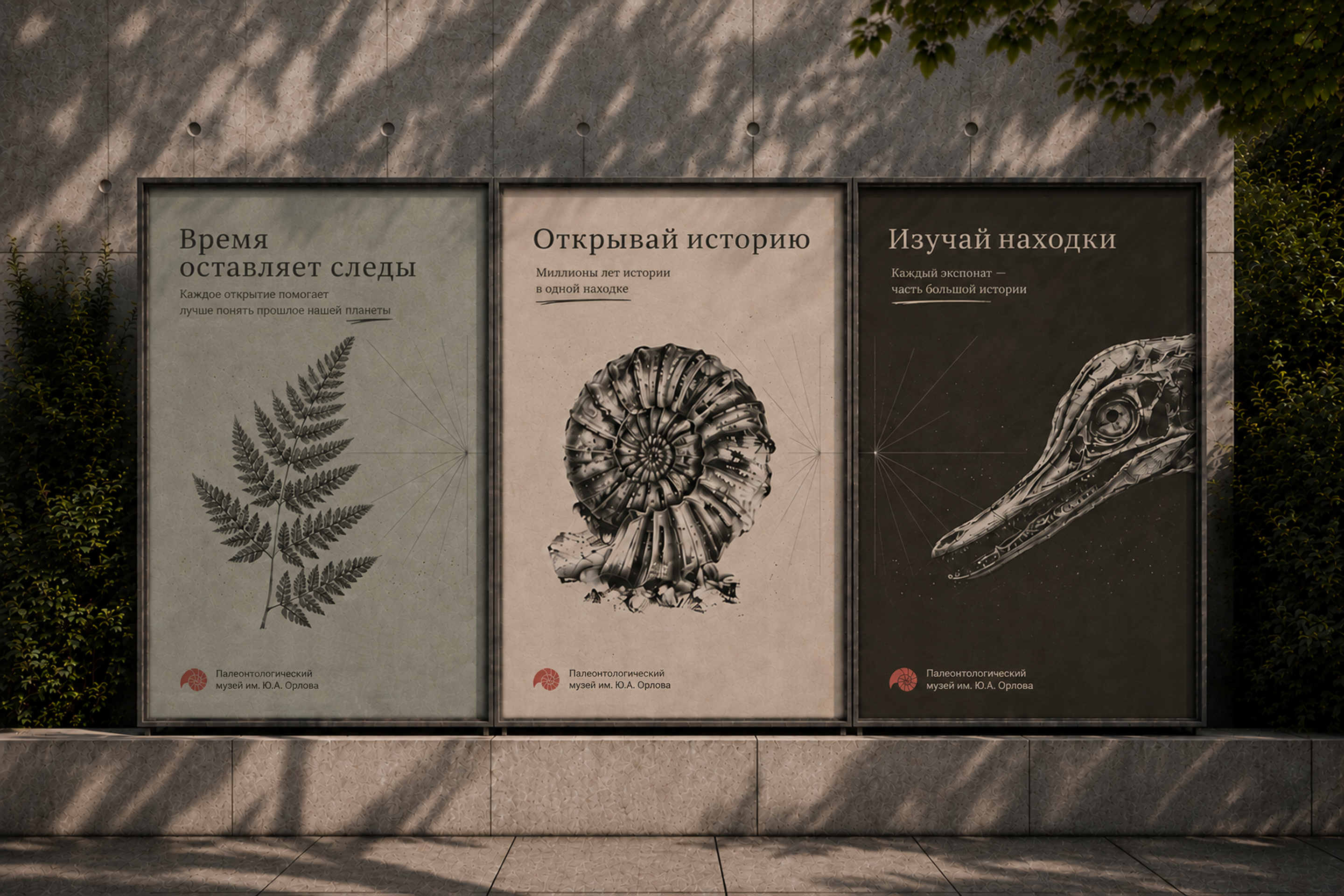Дизайн-концепция для палеонтологического музея — Изображение №11 — Брендинг на Dprofile