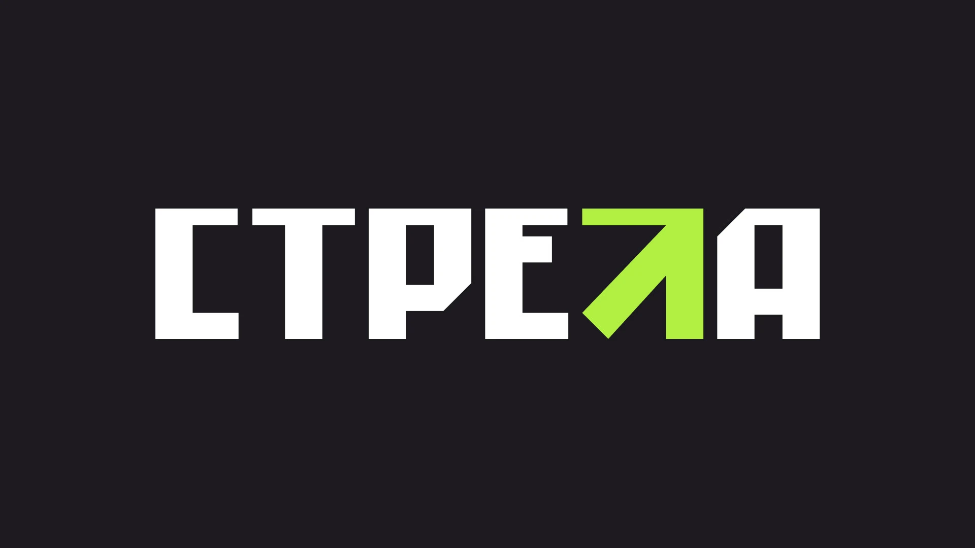СТРЕЛА | BRANDING — Изображение №1 — Брендинг на Dprofile