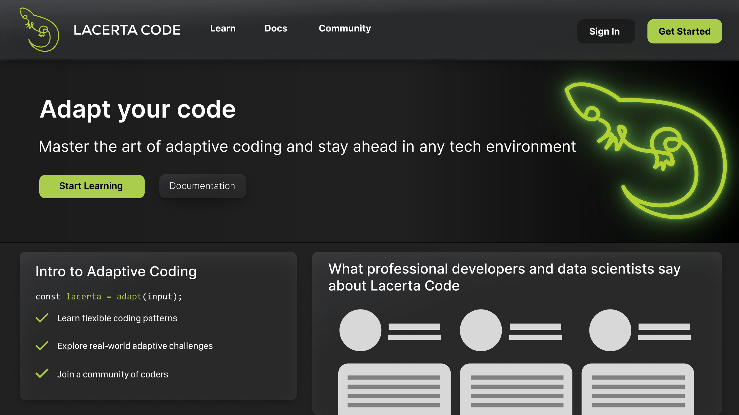 Lacerta Code — Изображение №2 — Интерфейсы, Брендинг на Dprofile