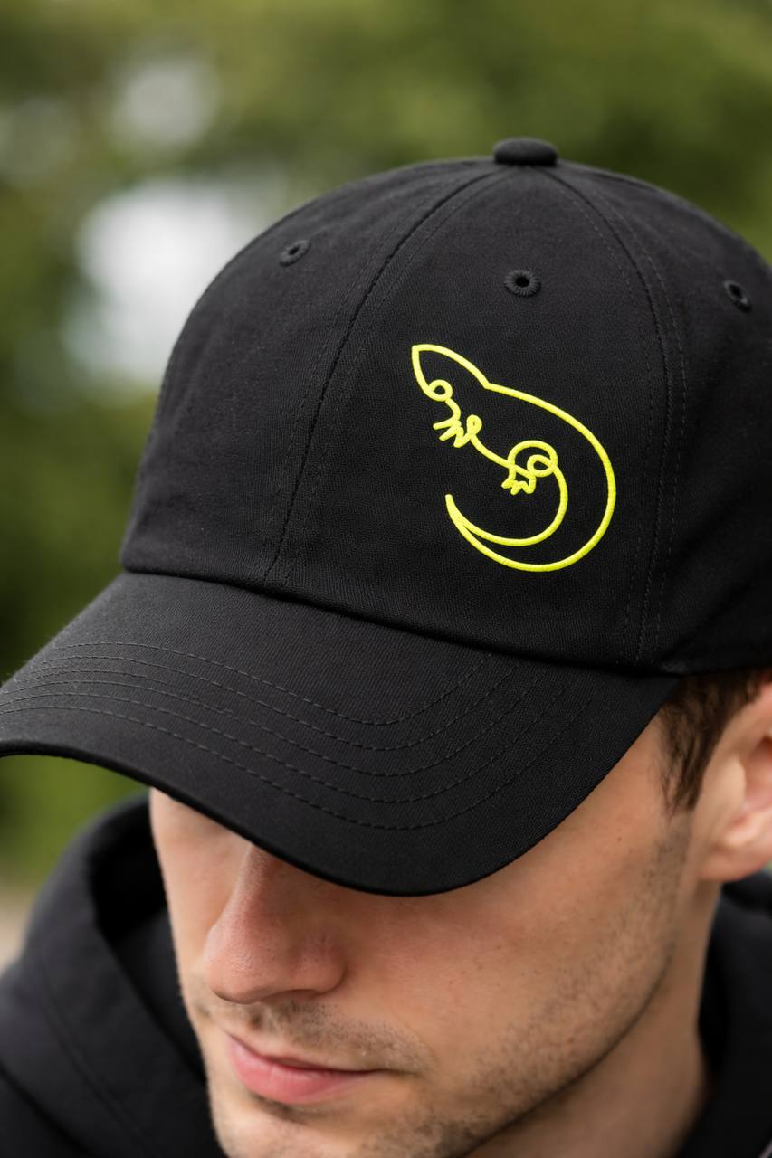 Lacerta Code — Изображение №5 — Интерфейсы, Брендинг на Dprofile