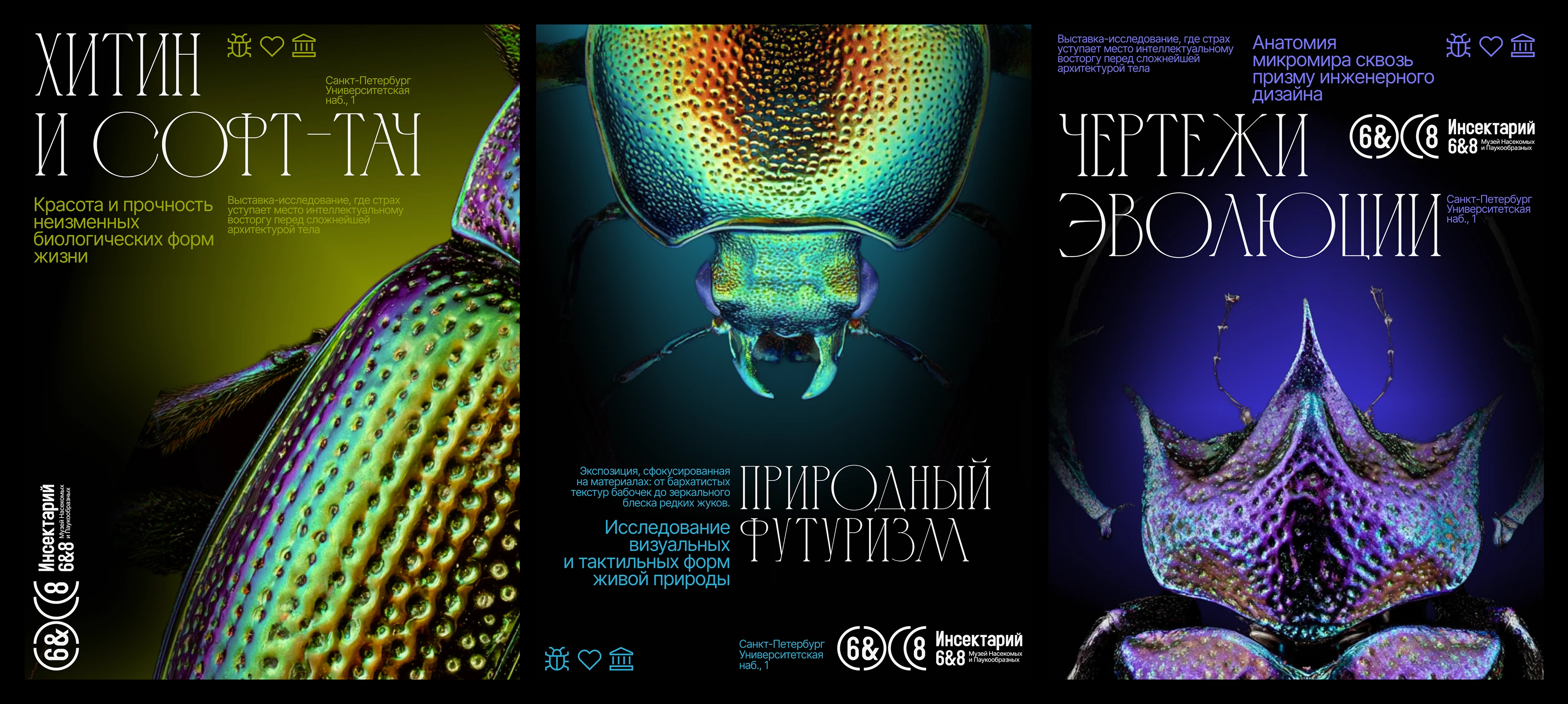 Айдентика для музея насекомых — Изображение №18 — Брендинг на Dprofile