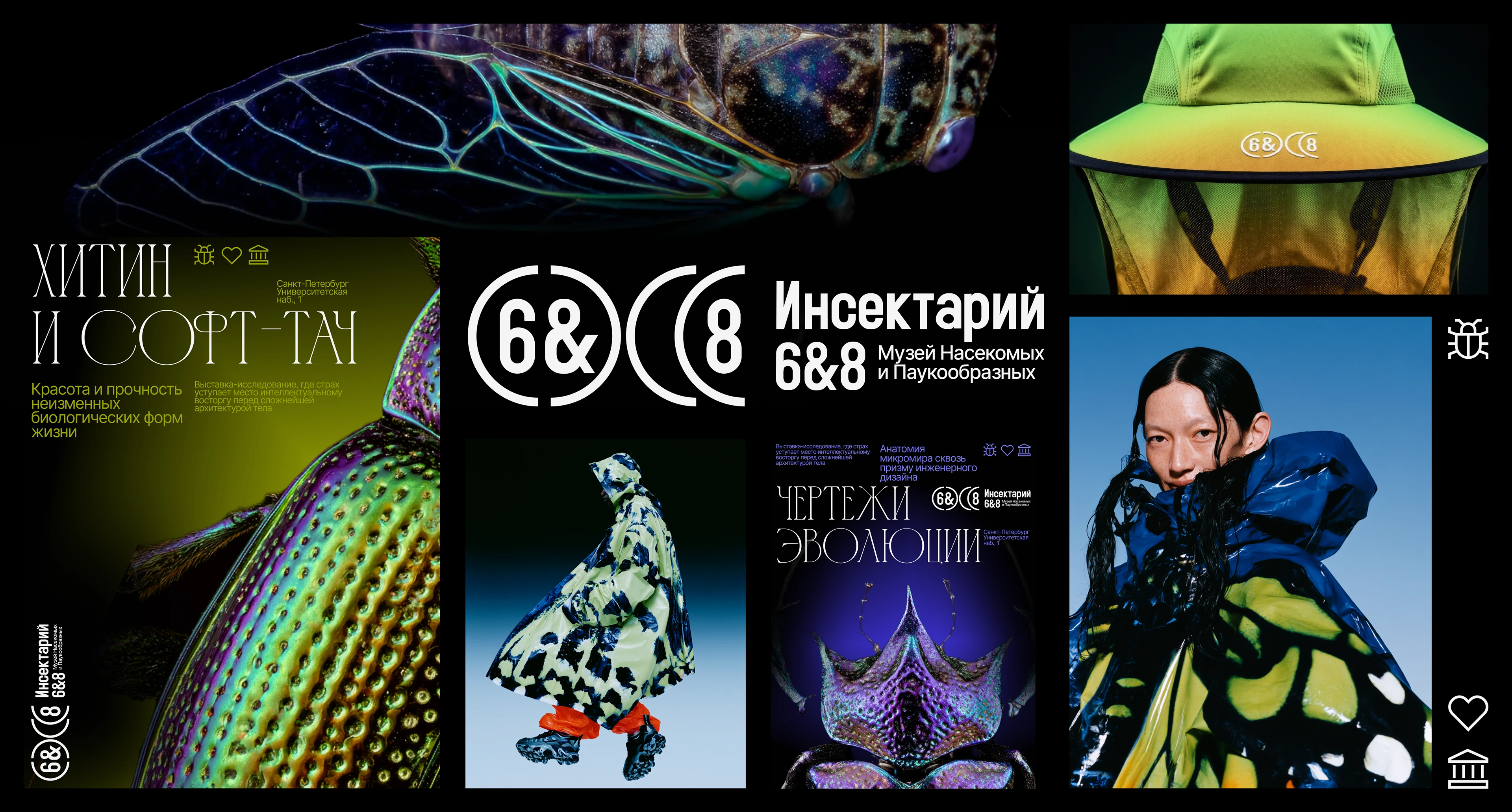 Айдентика для музея насекомых — Изображение №26 — Брендинг на Dprofile