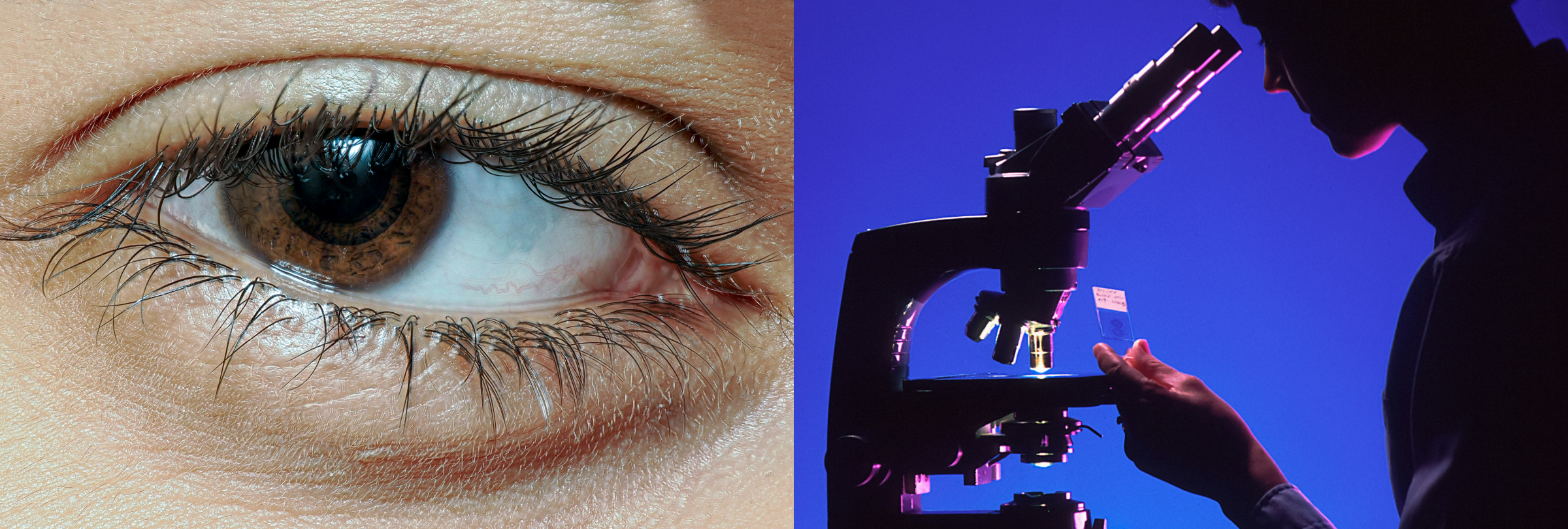 Femtech Force media айдентика — Изображение №2 — Брендинг на Dprofile