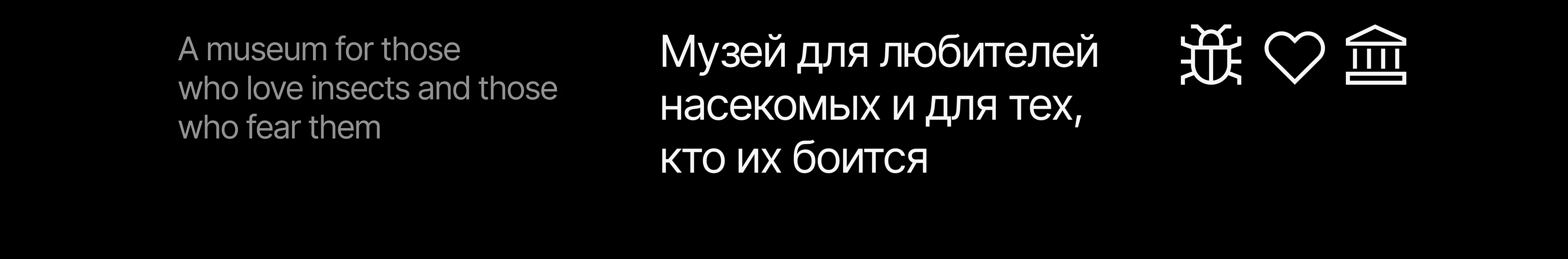 Айдентика для музея насекомых — Изображение №2 — Брендинг на Dprofile